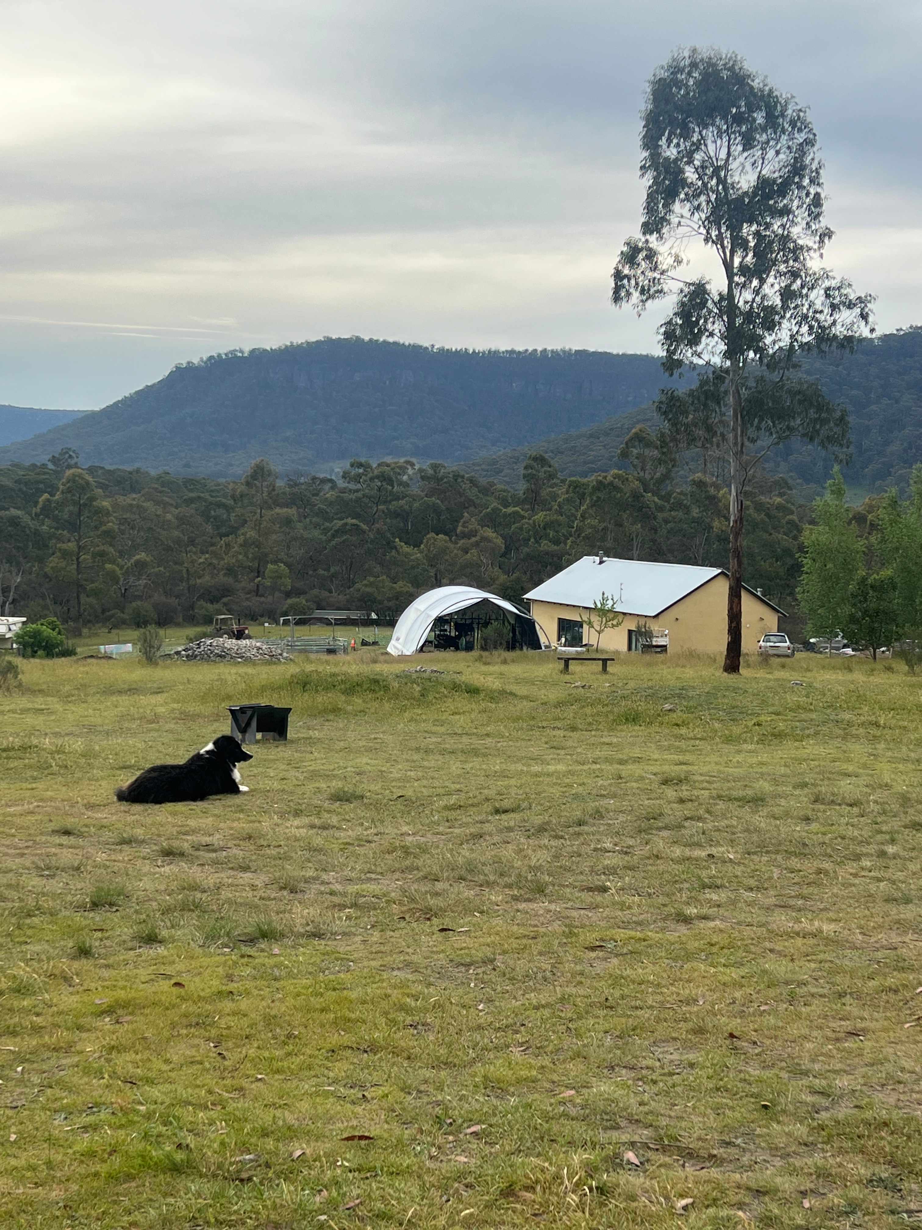 Hartley Vale Garlic Farm