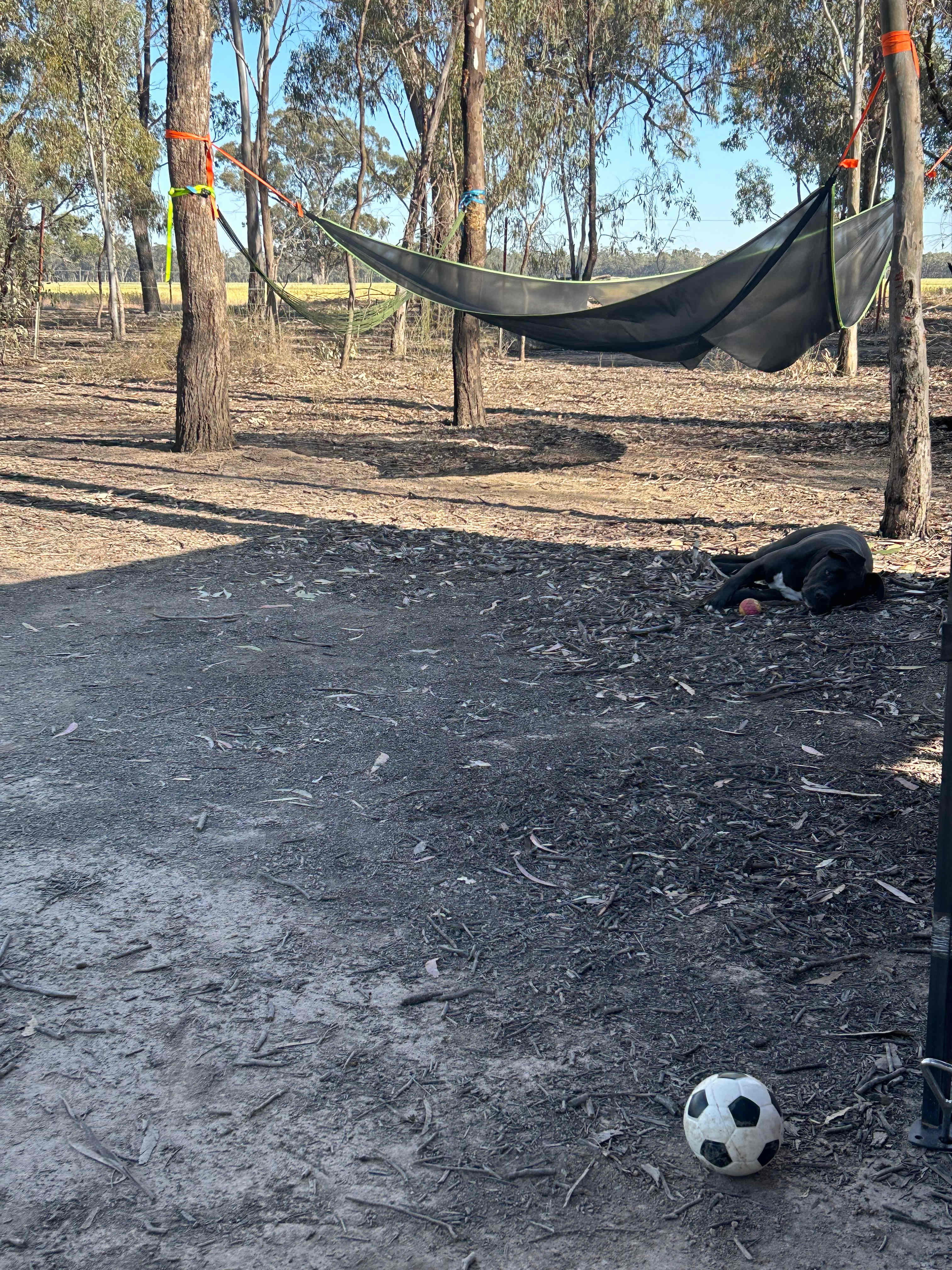 Tooranie Stay Echuca Moama