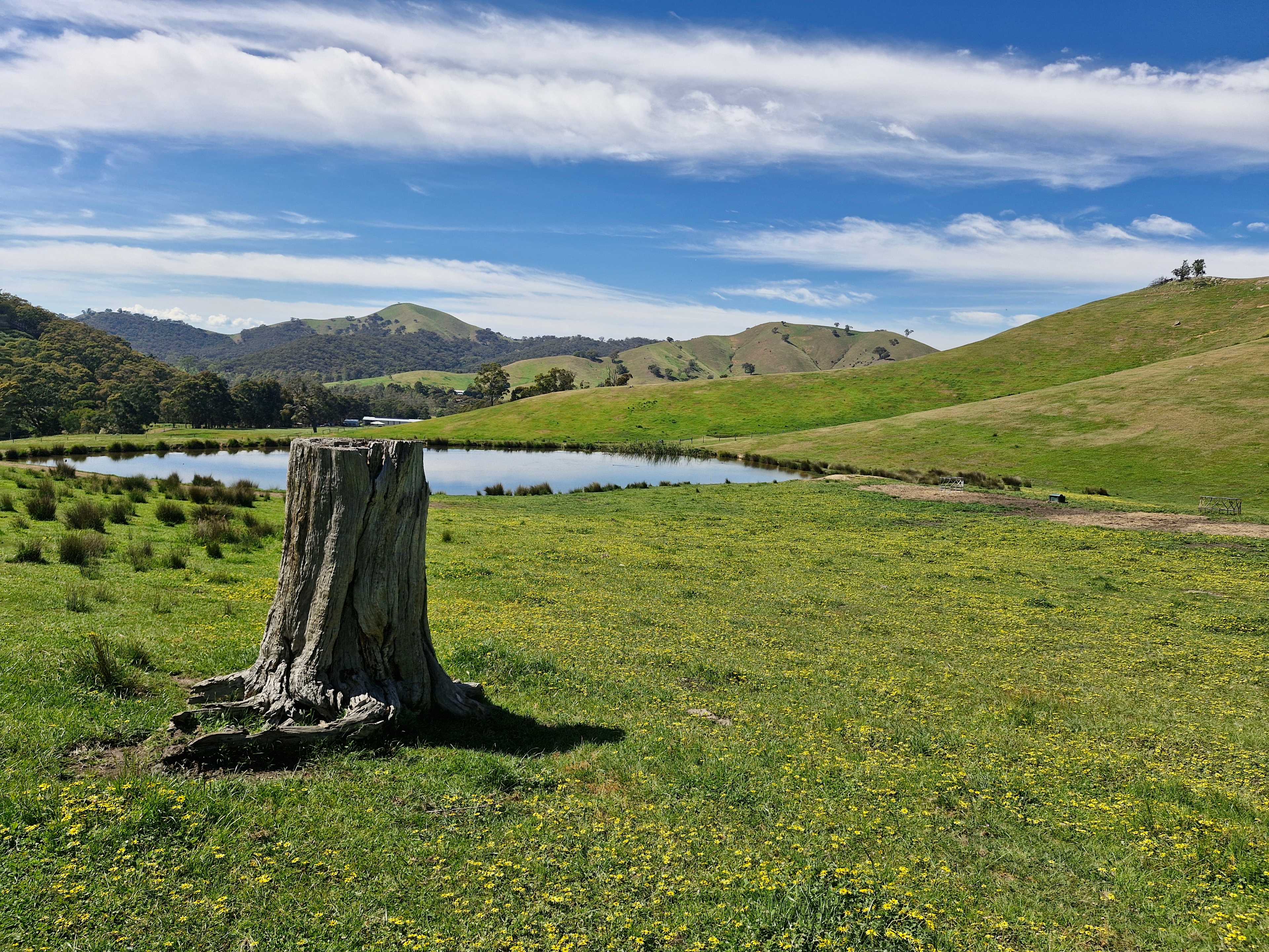 Wildcroft an Escape to the Country