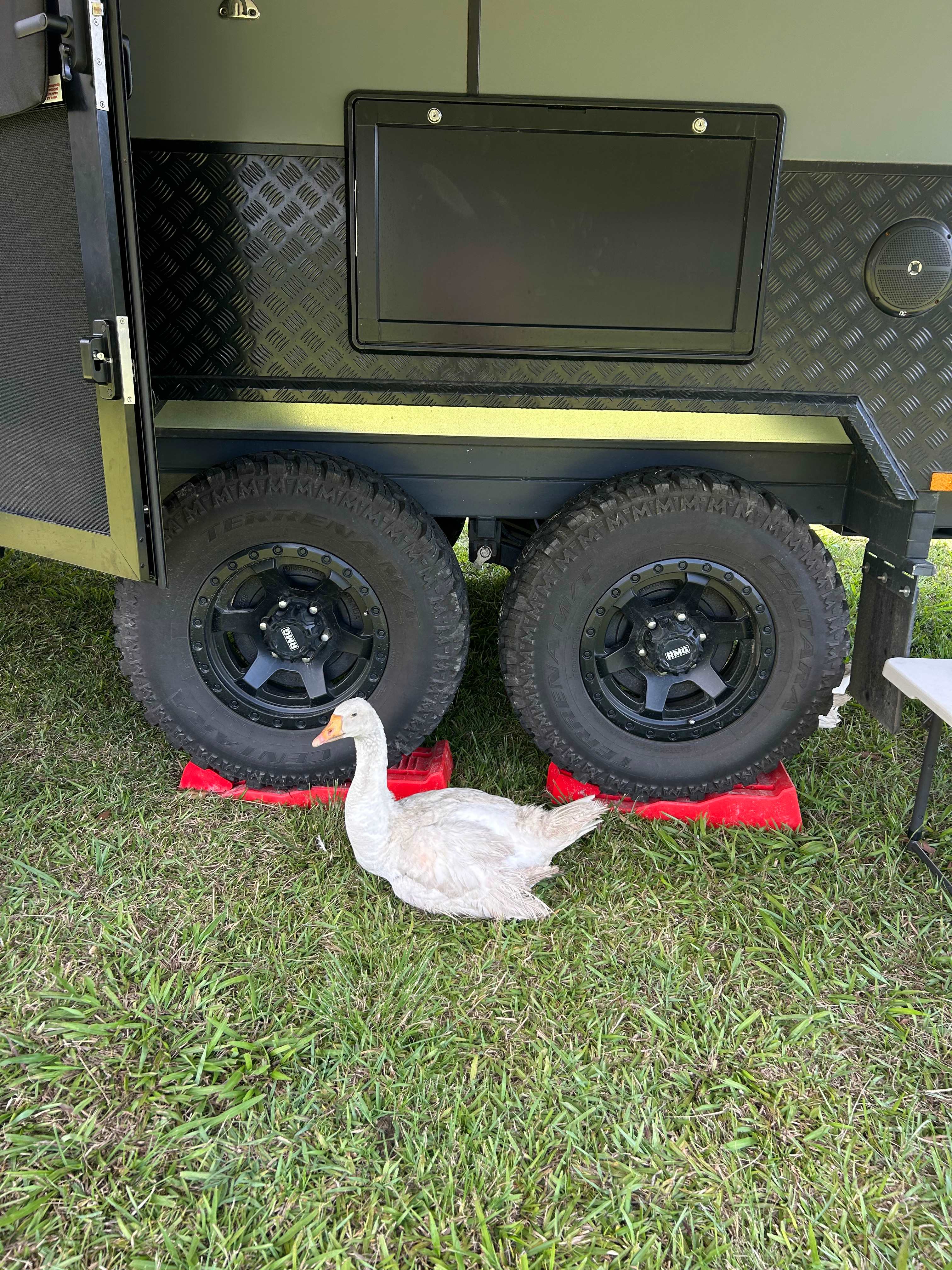 Coffs Harbour Camping & Farmstay