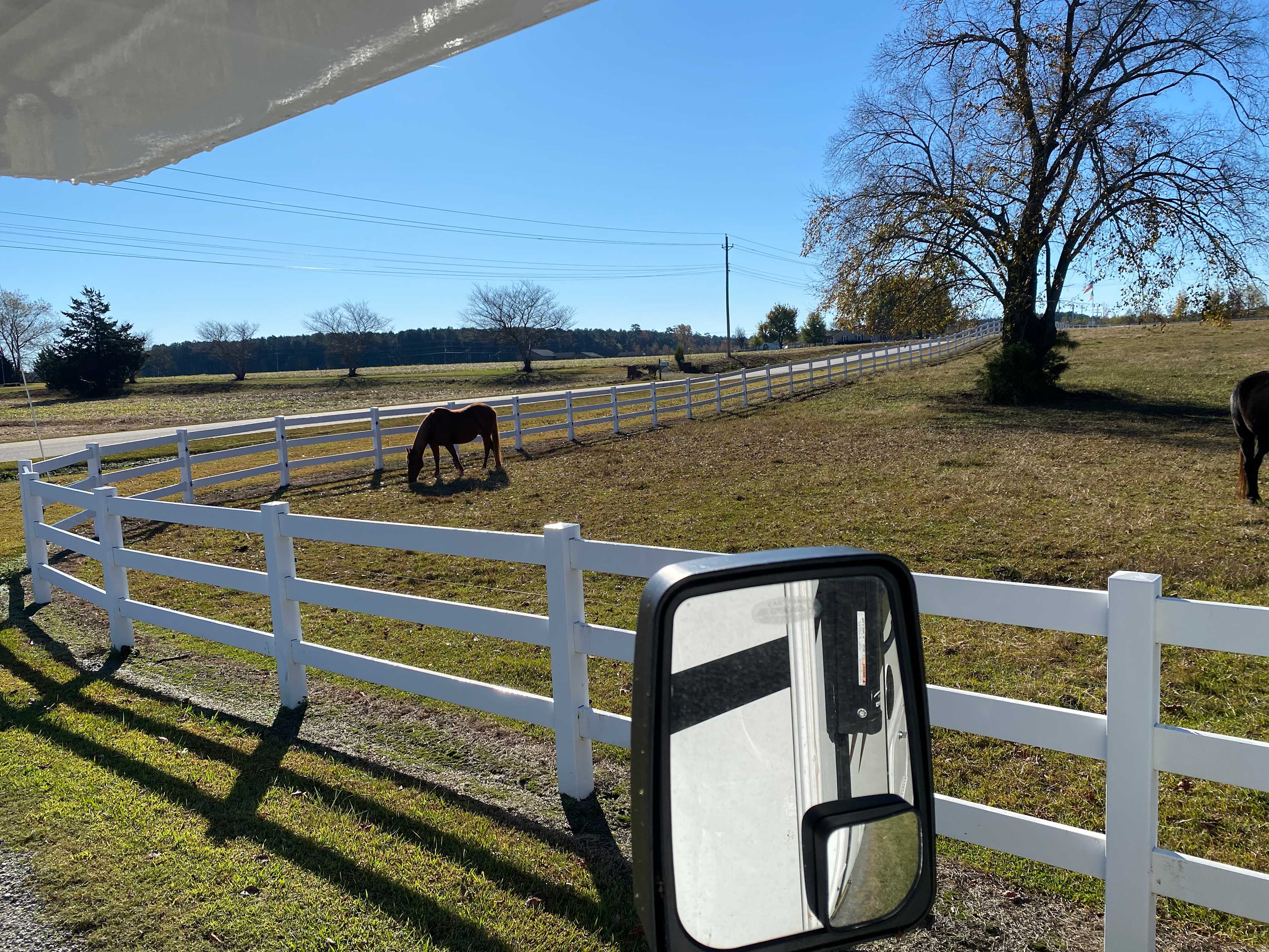 Horse Ranch-a short drive from 95