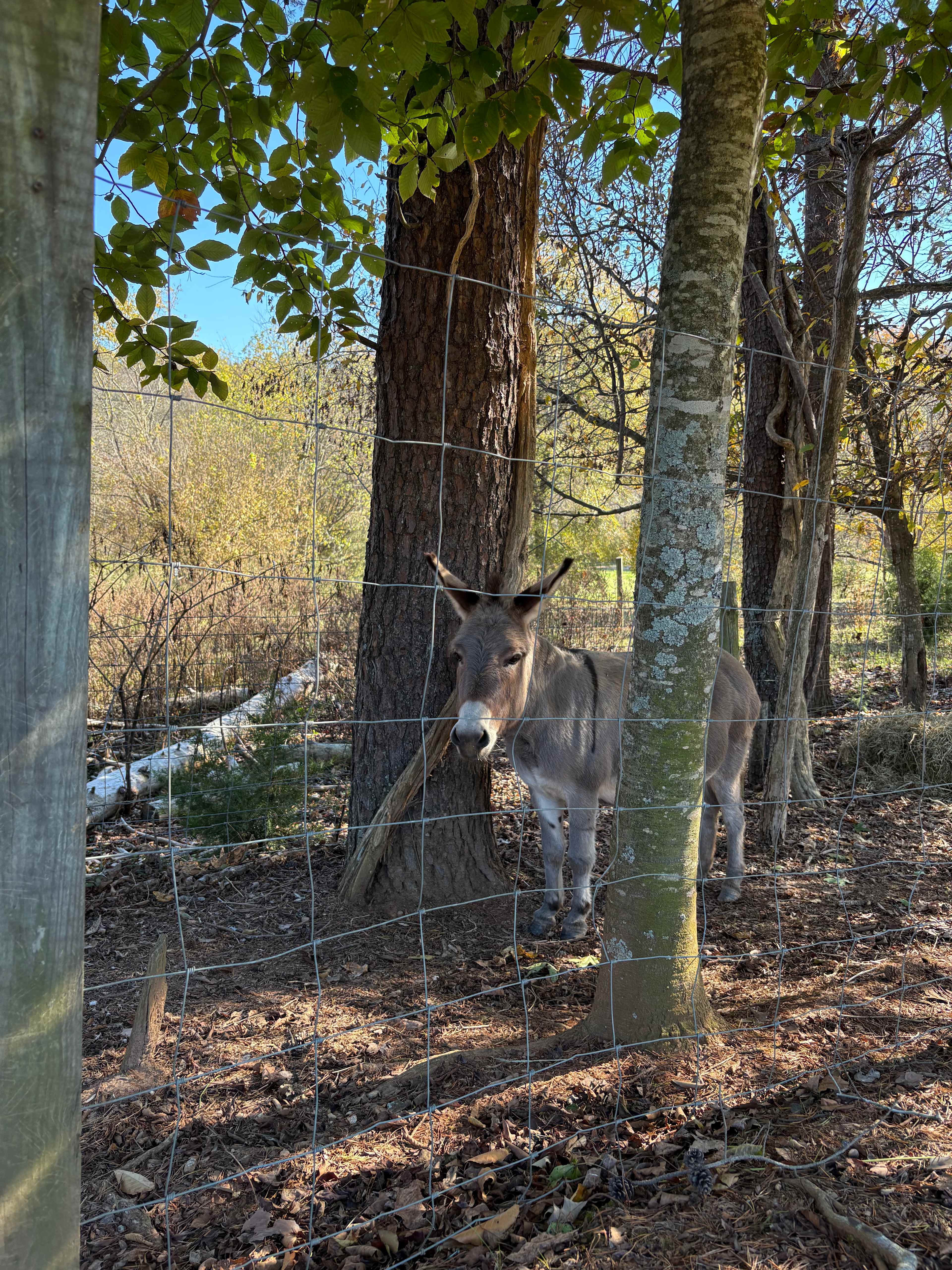 The Oasis at Harmon Creek Farms