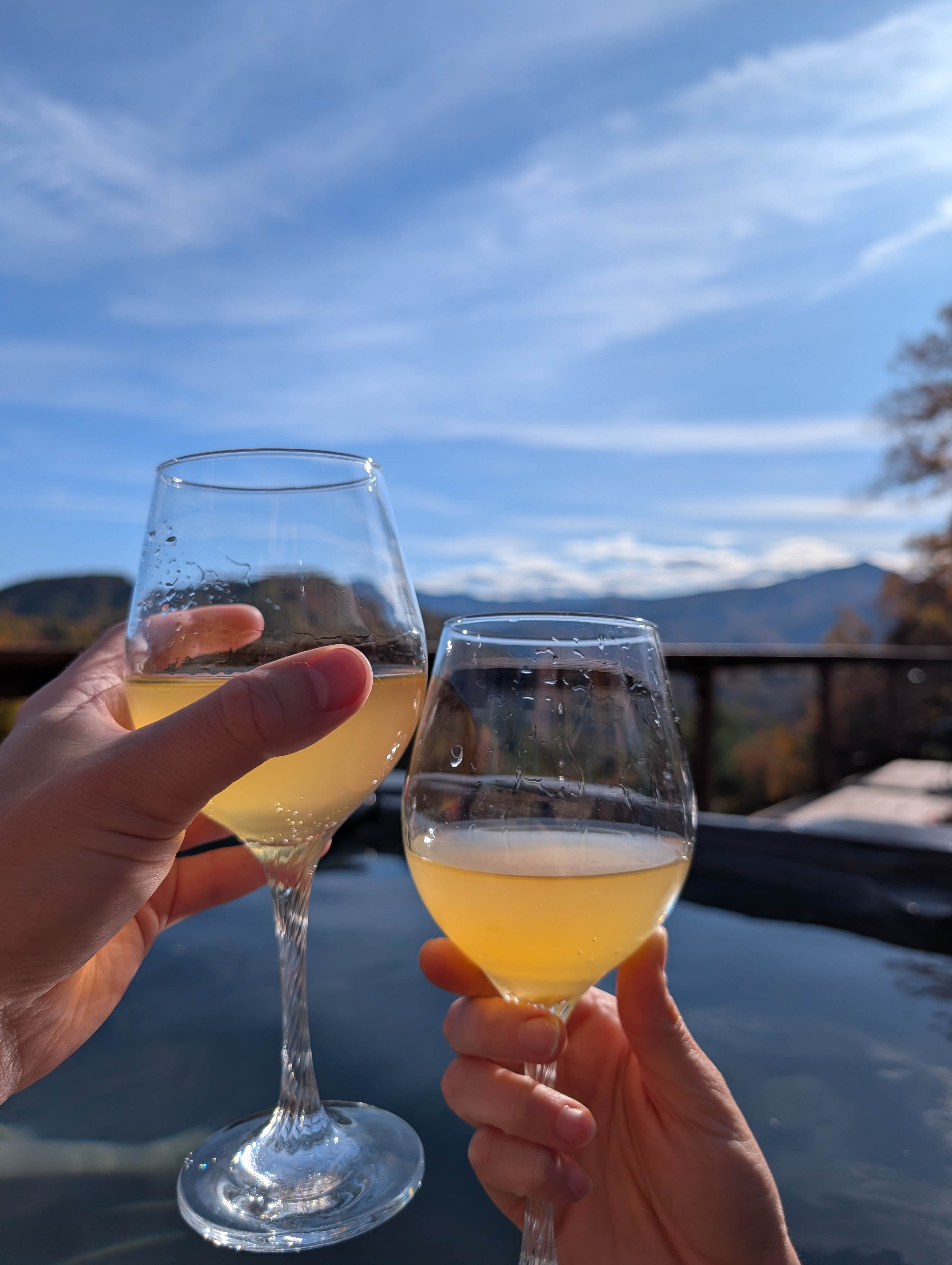 Glamping Domes & A-Frame