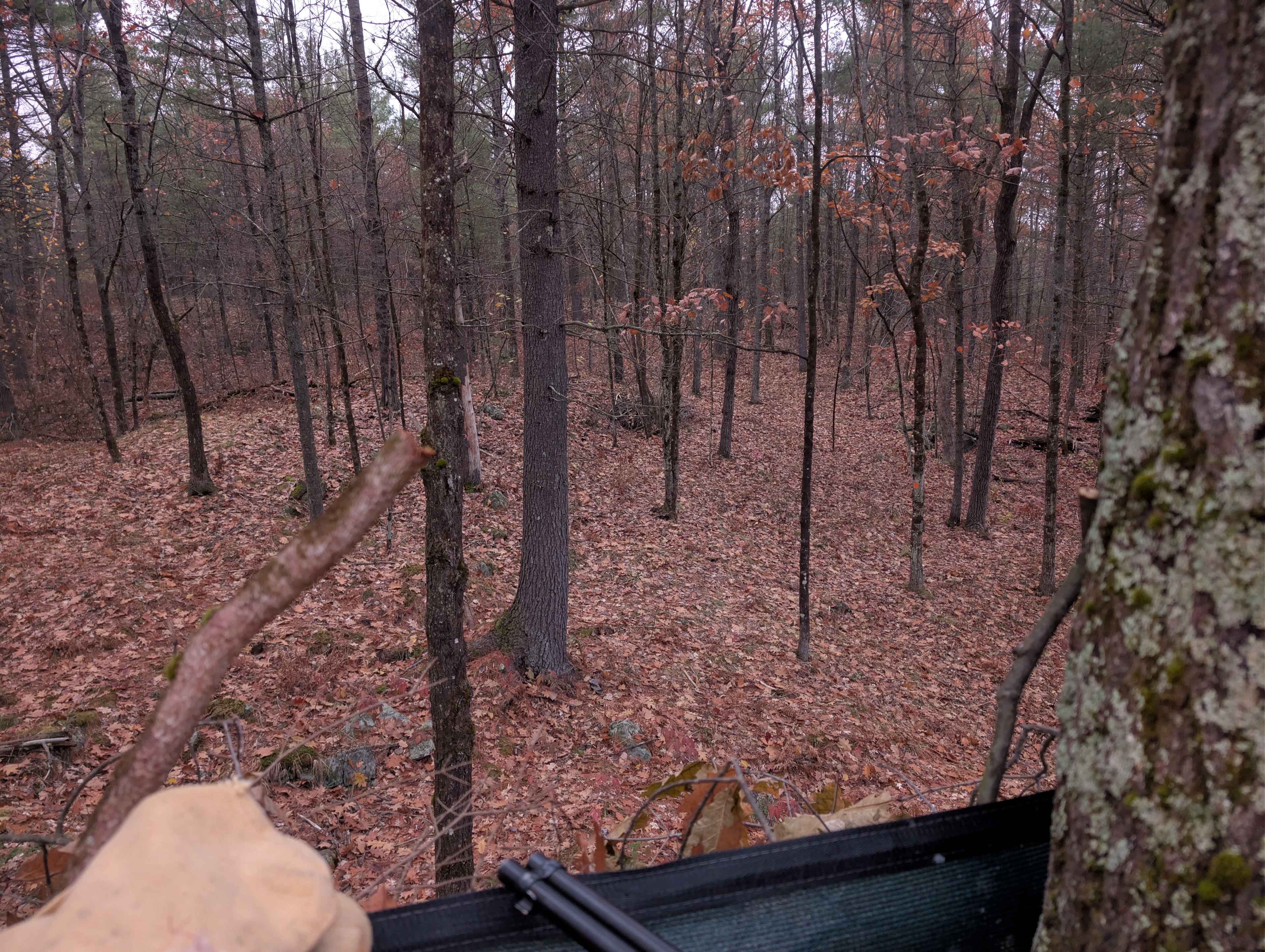 Hemlock Point Campground