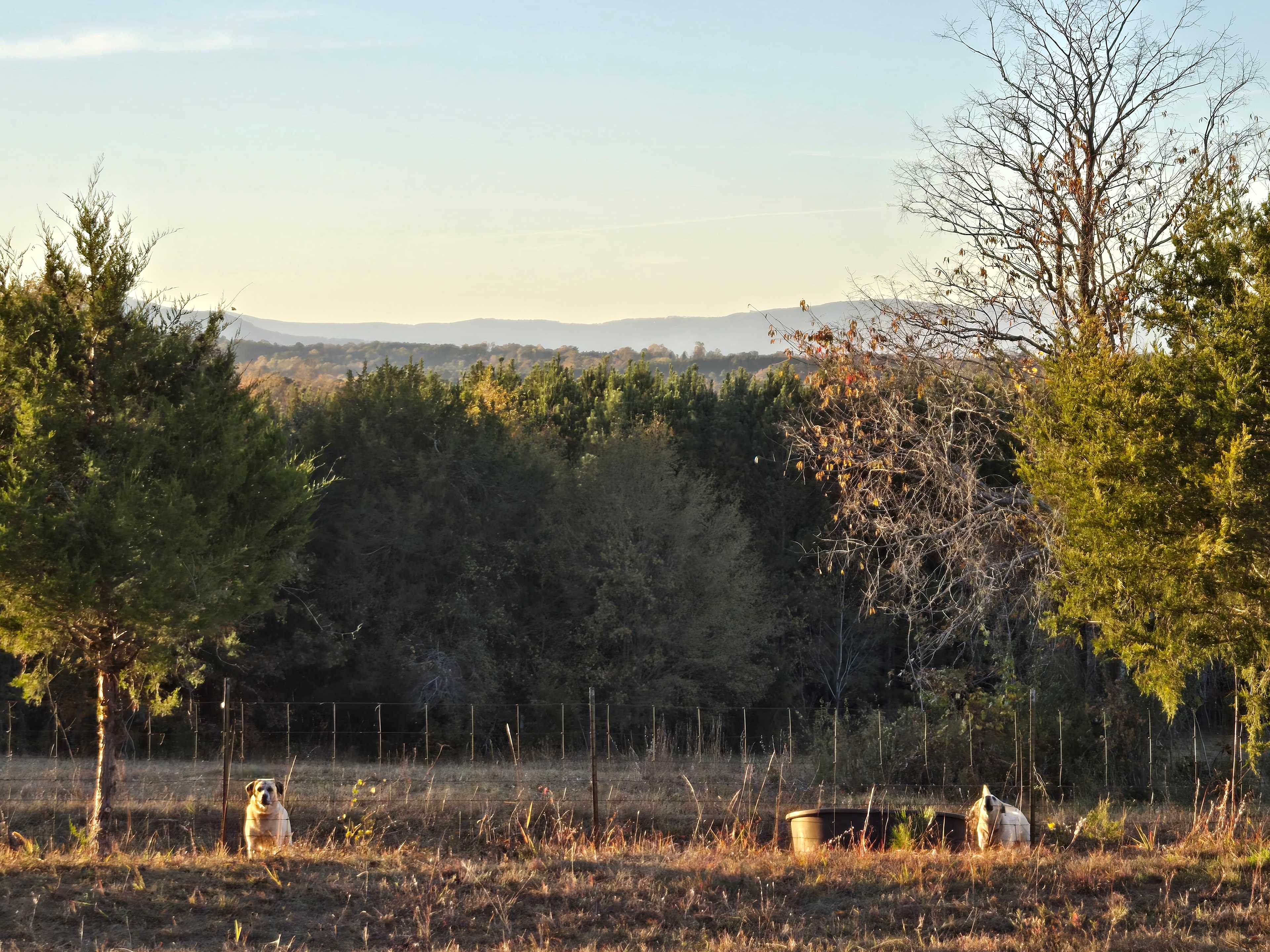 Hinsdale Farm-Mountain View Oasis