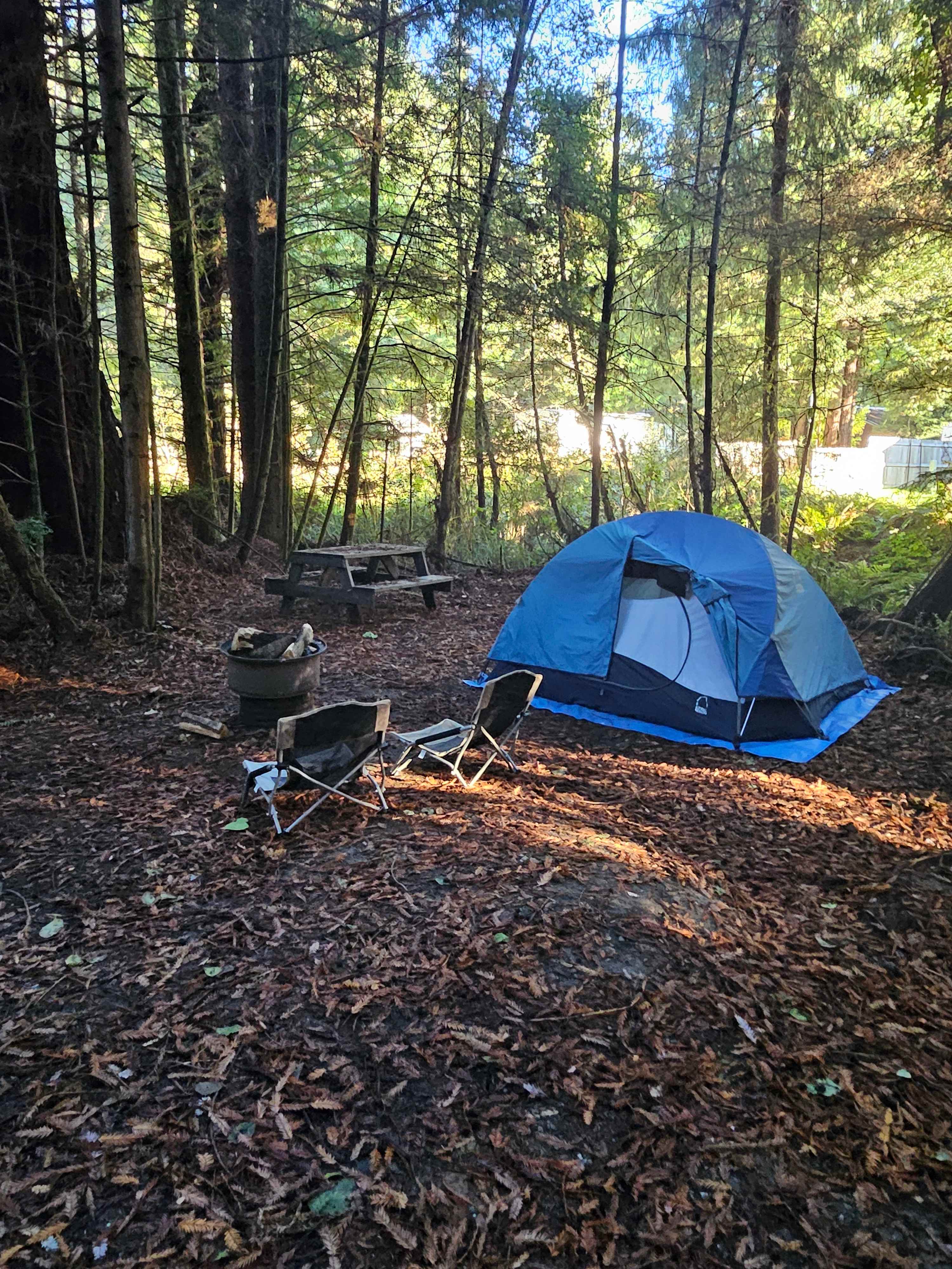 Mystic Forest Campground