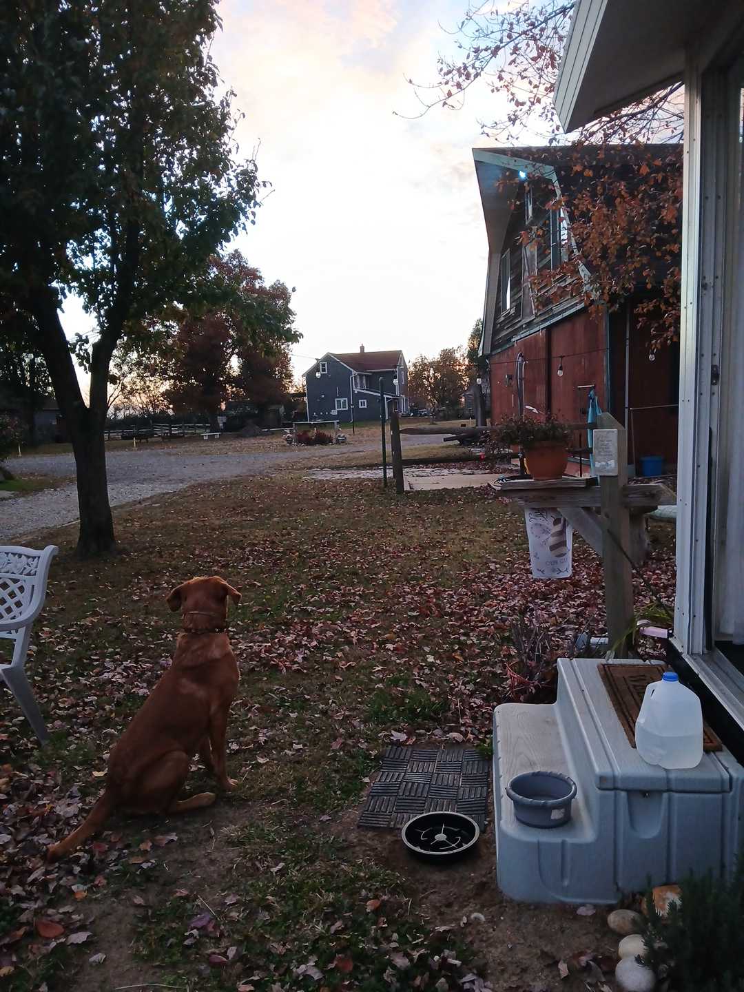 Countryside Horse Farm