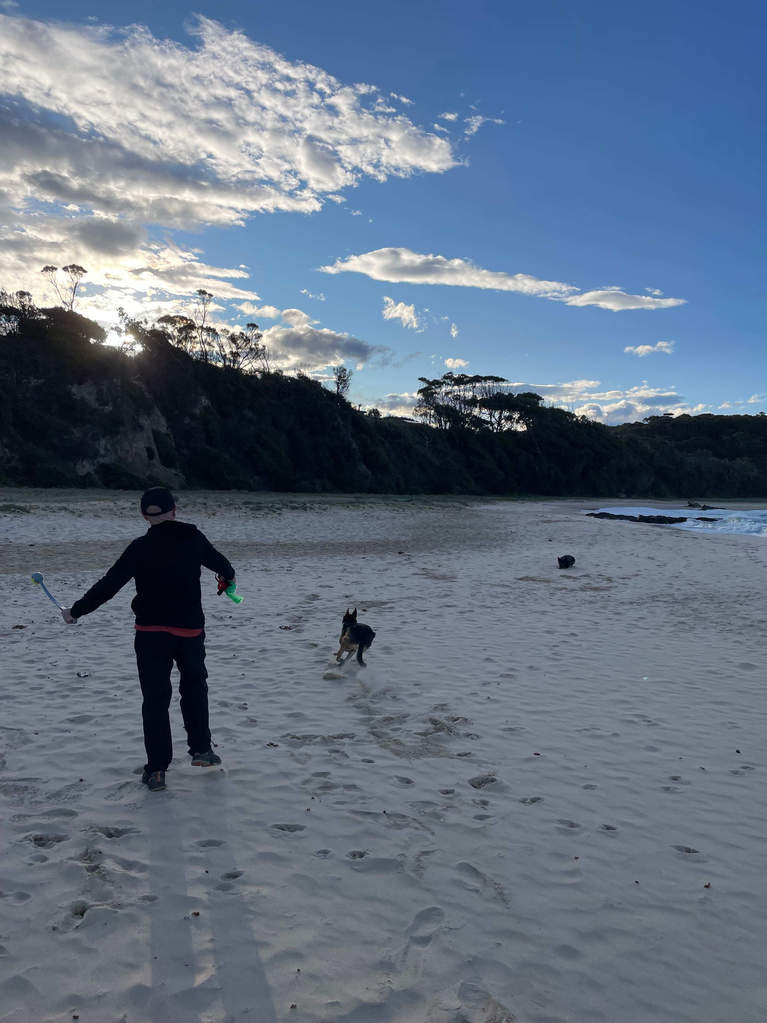 Figtree Camp @ Mystery Bay