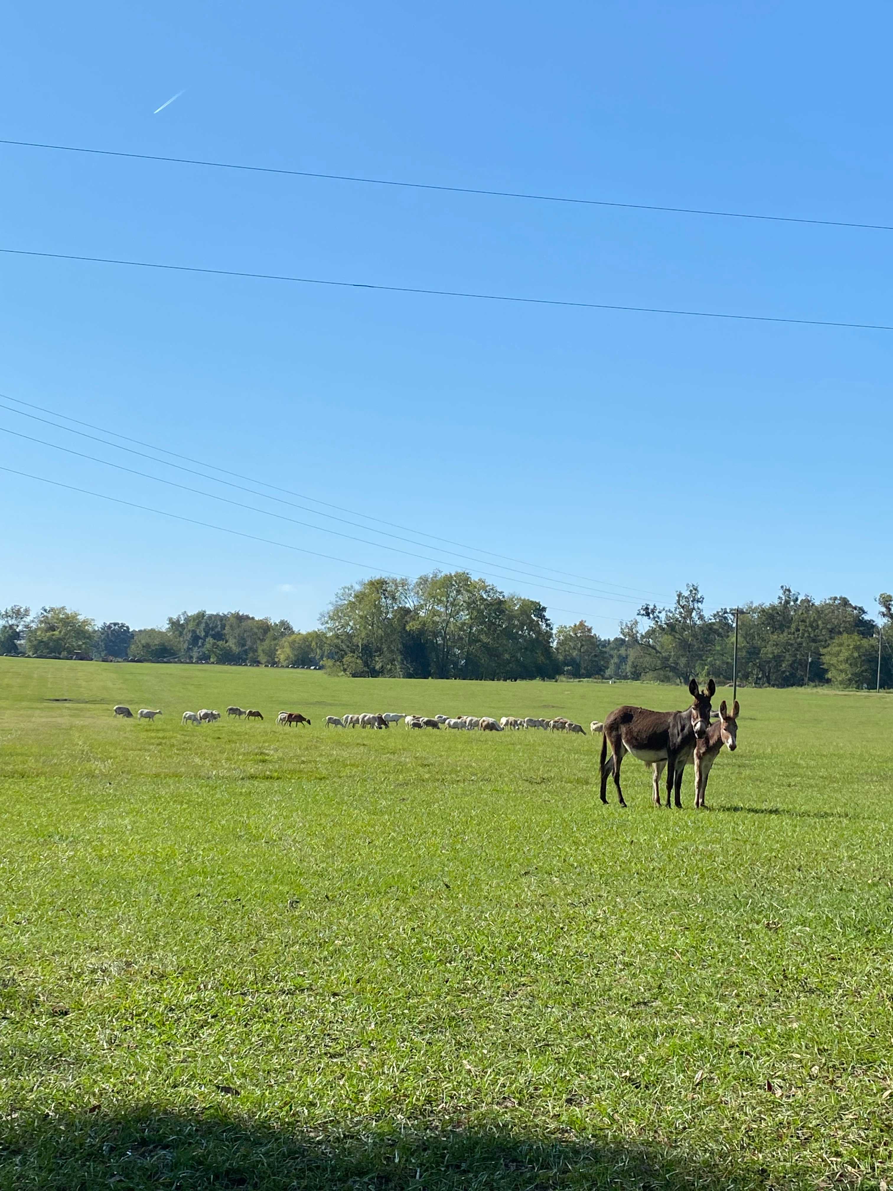 A truly dreamy setting!  