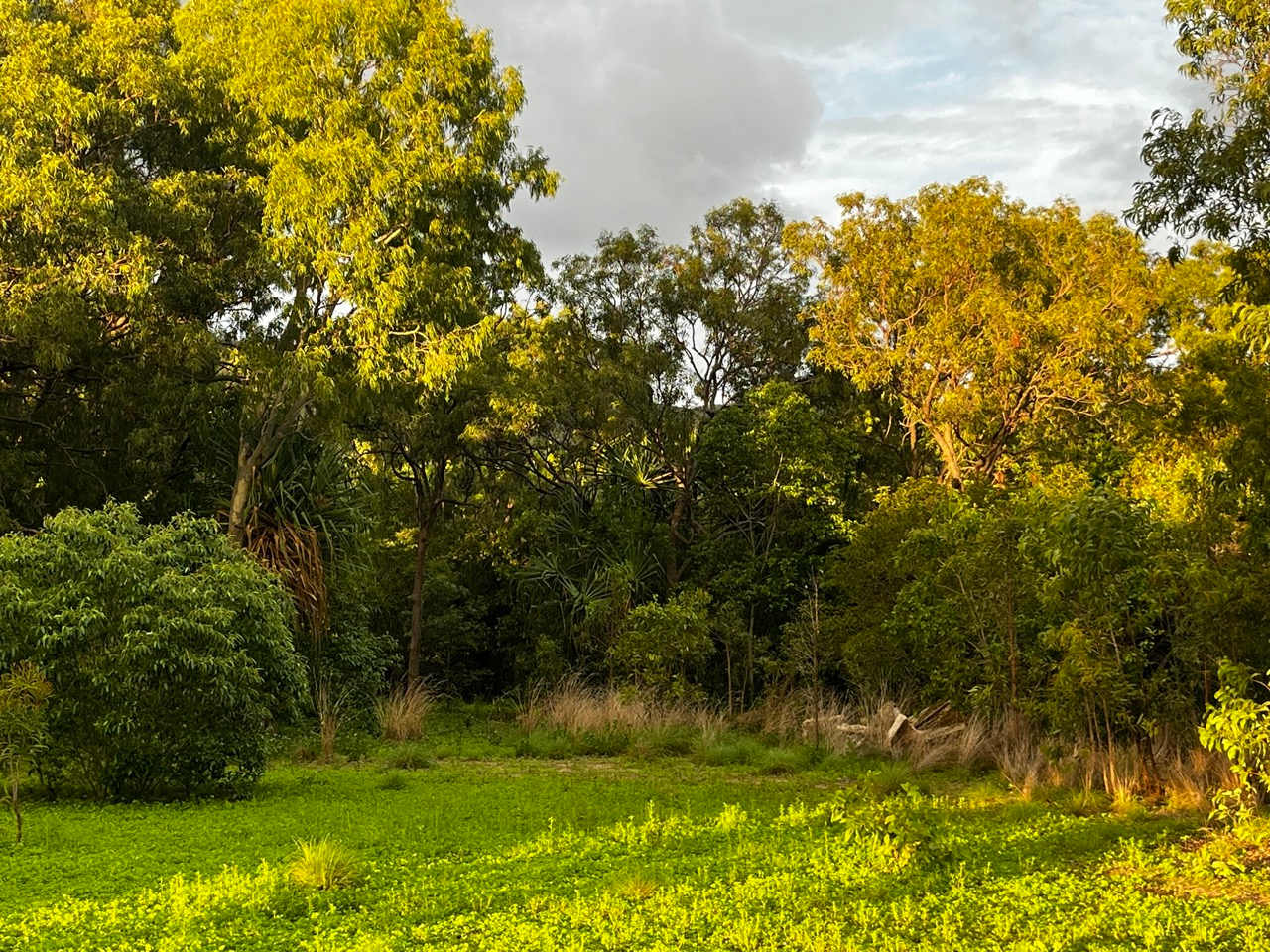 Blue Tiger Campsite Magnetic Island