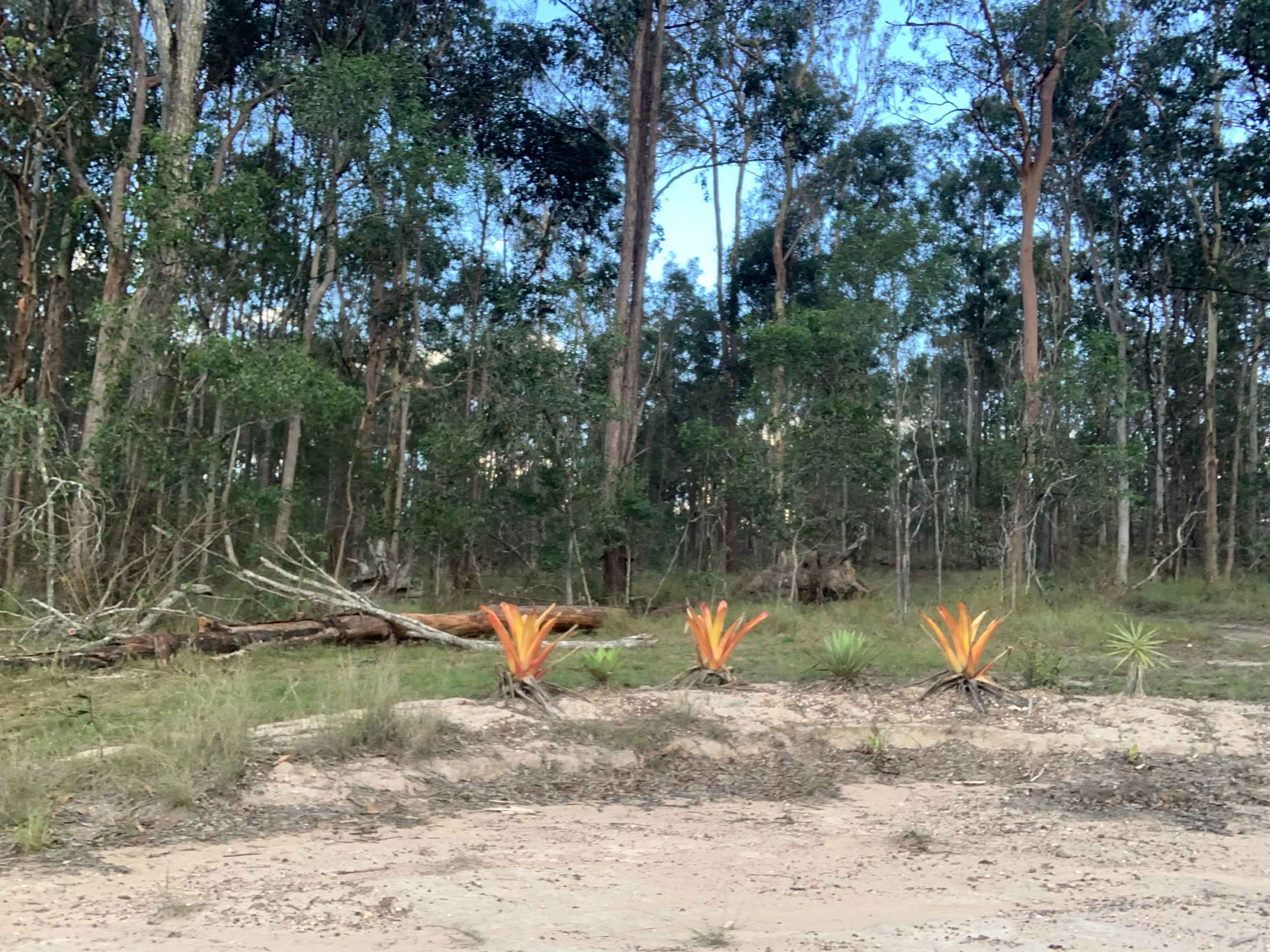 TerraLyra Sanctuary Retreat