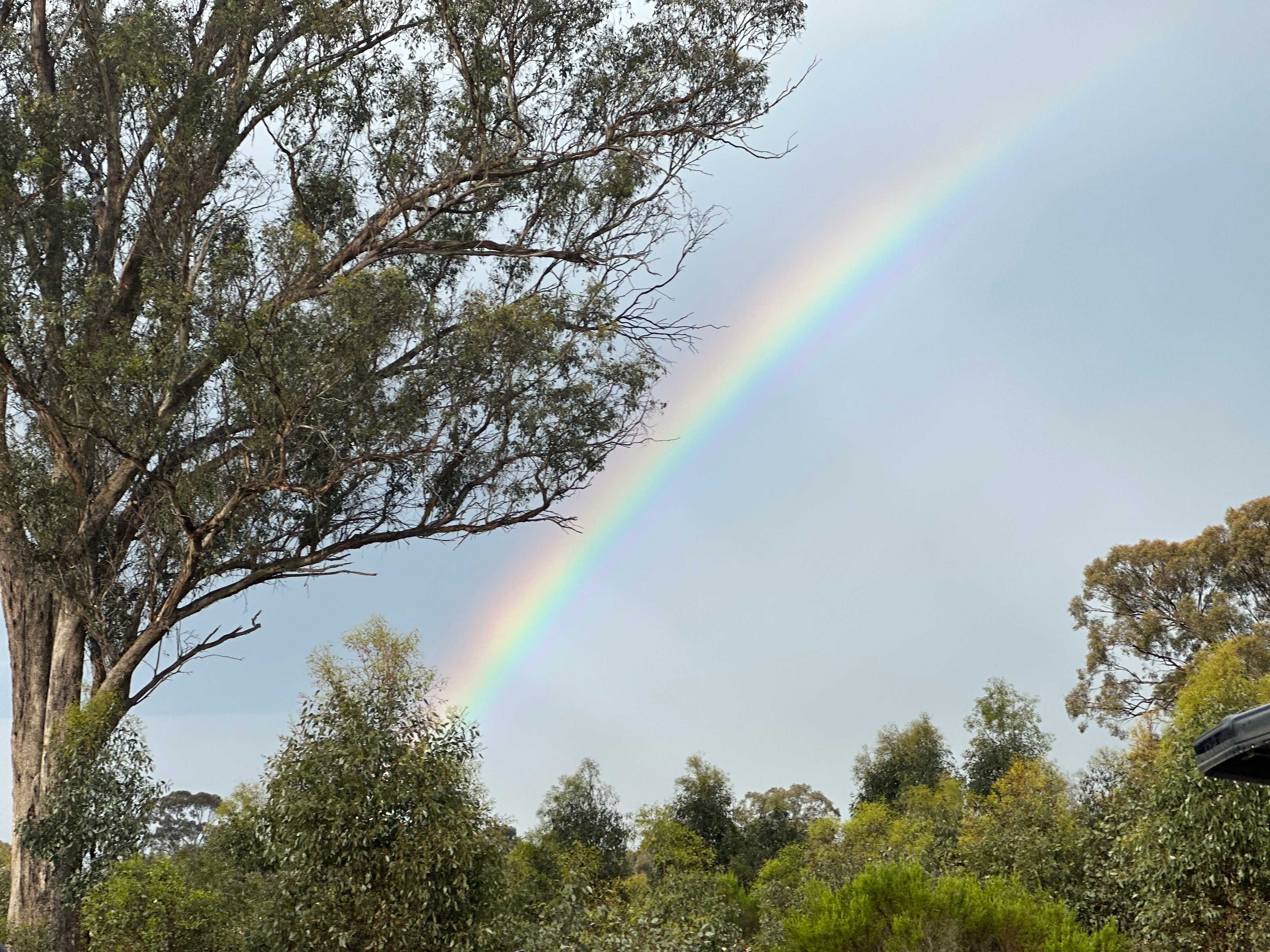 Somerville Park   (Bendigo)