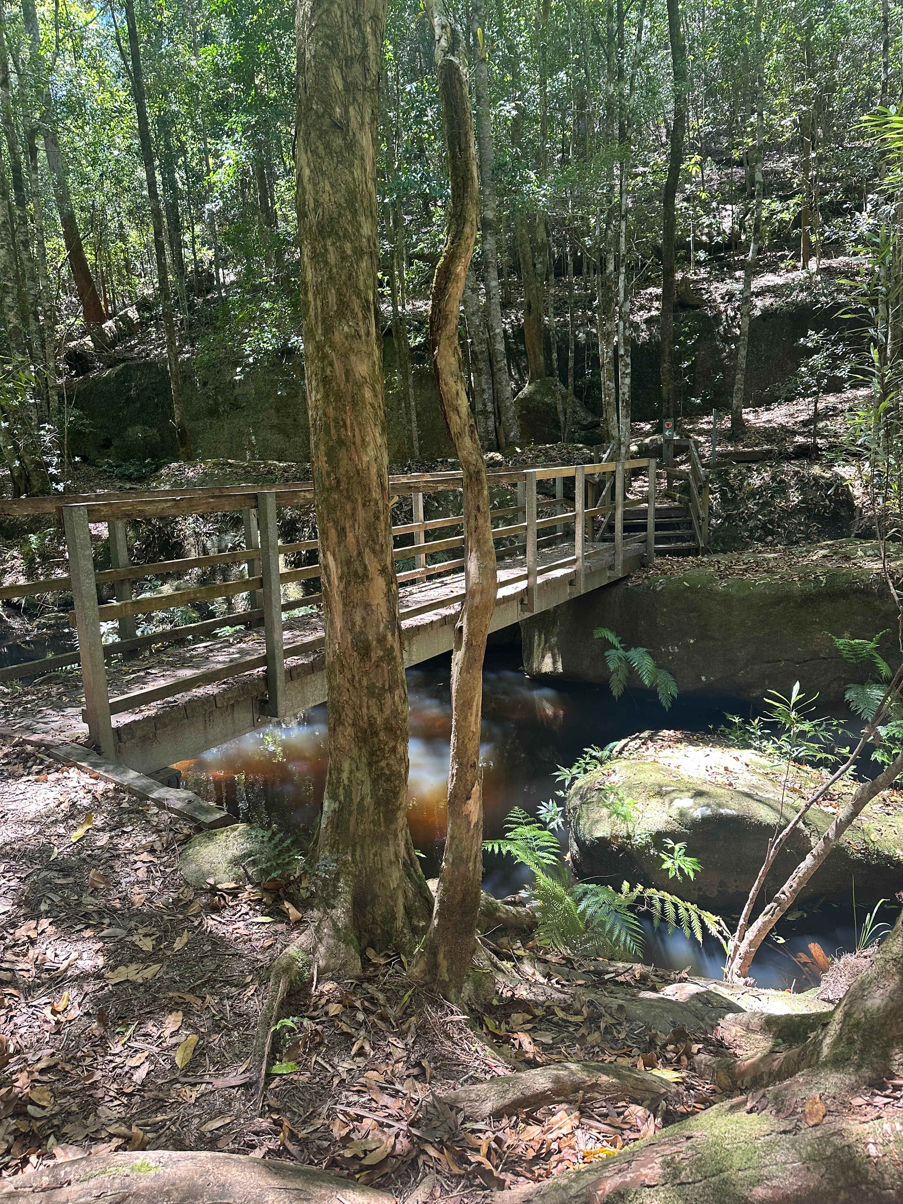 Walking track at Watagans National Park Boarding House Dam Picnic Area