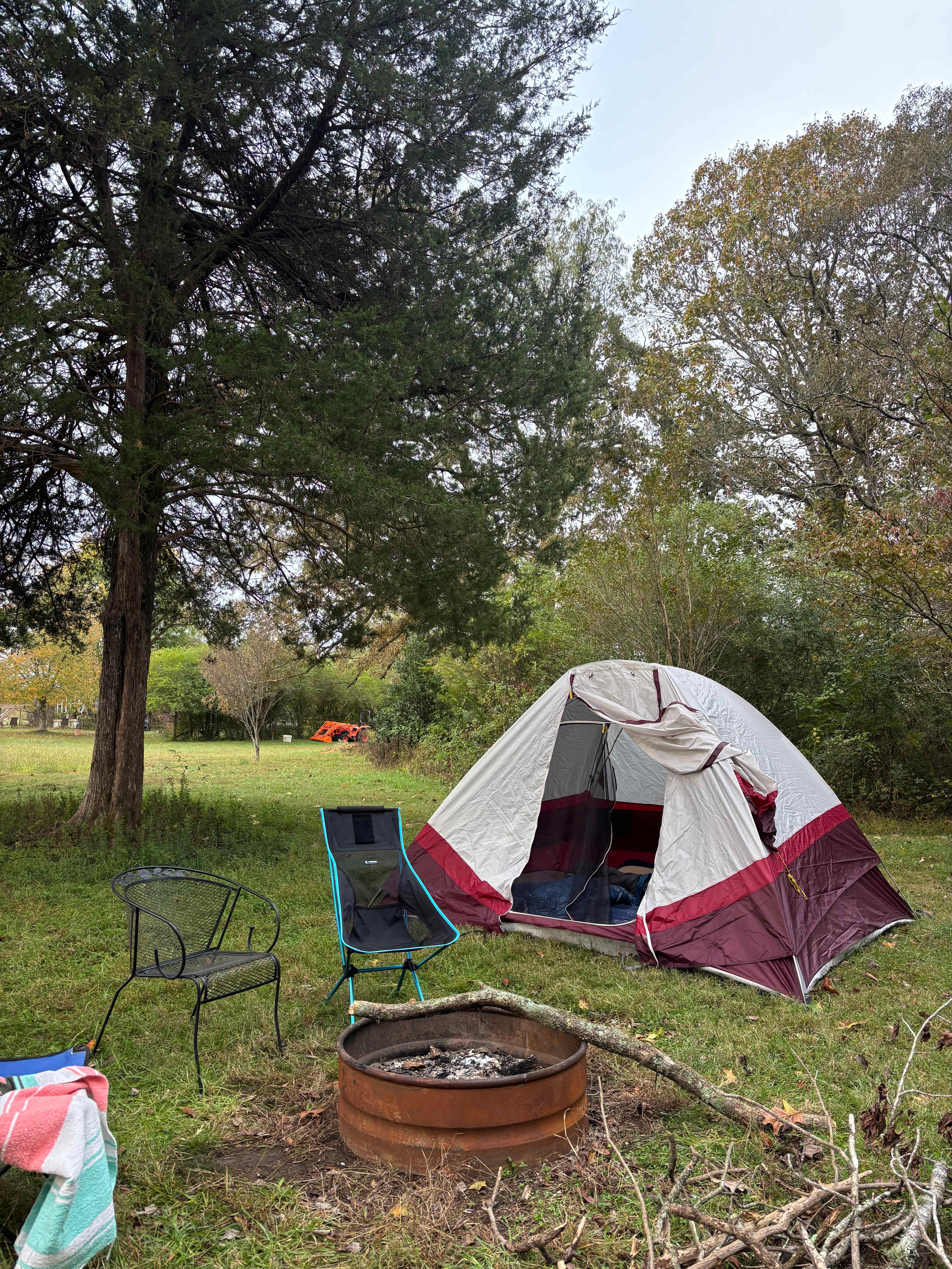 Alpaca Farm and Forested Area