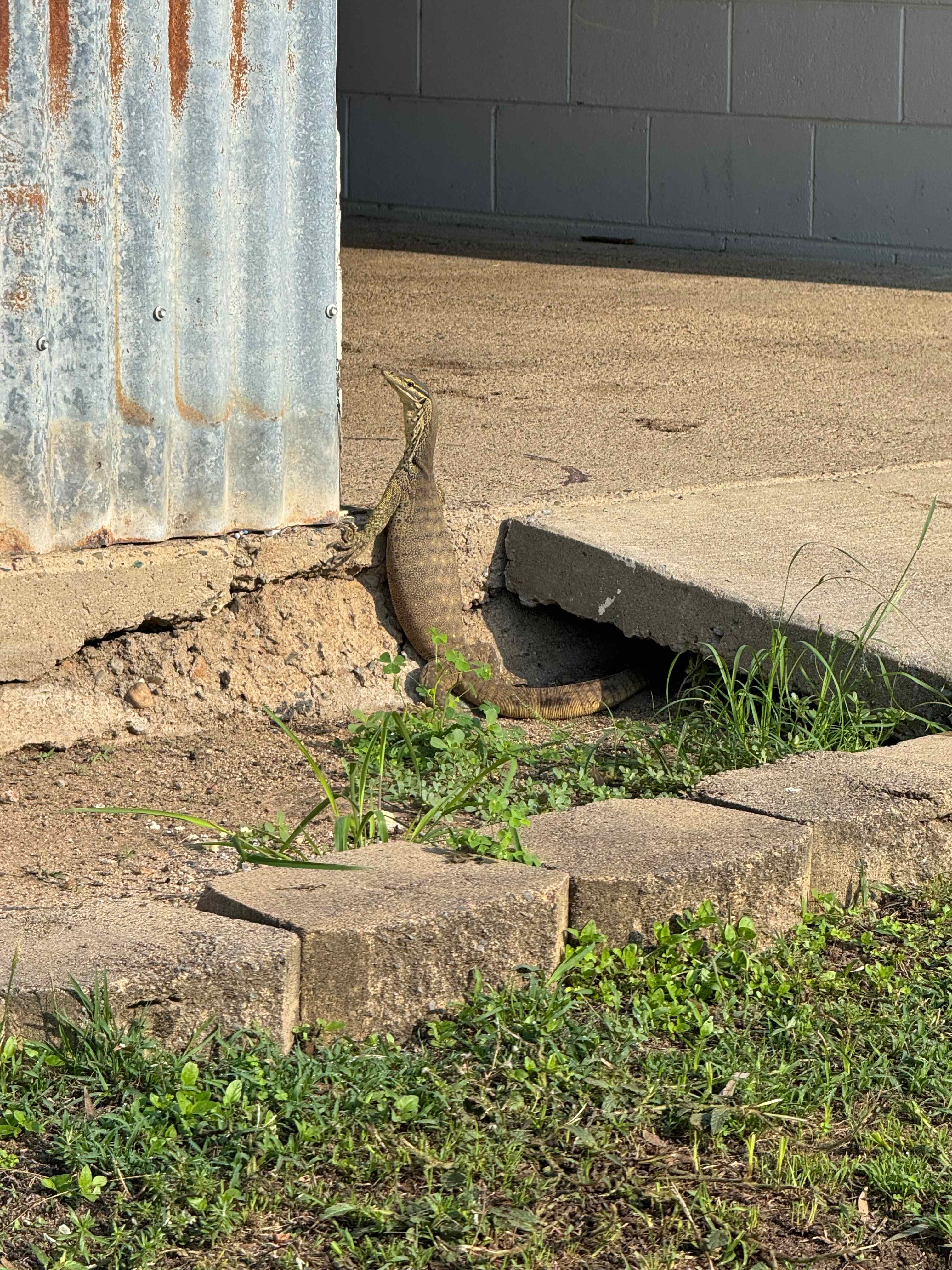 Camp Akuna Pikes Crossing INC