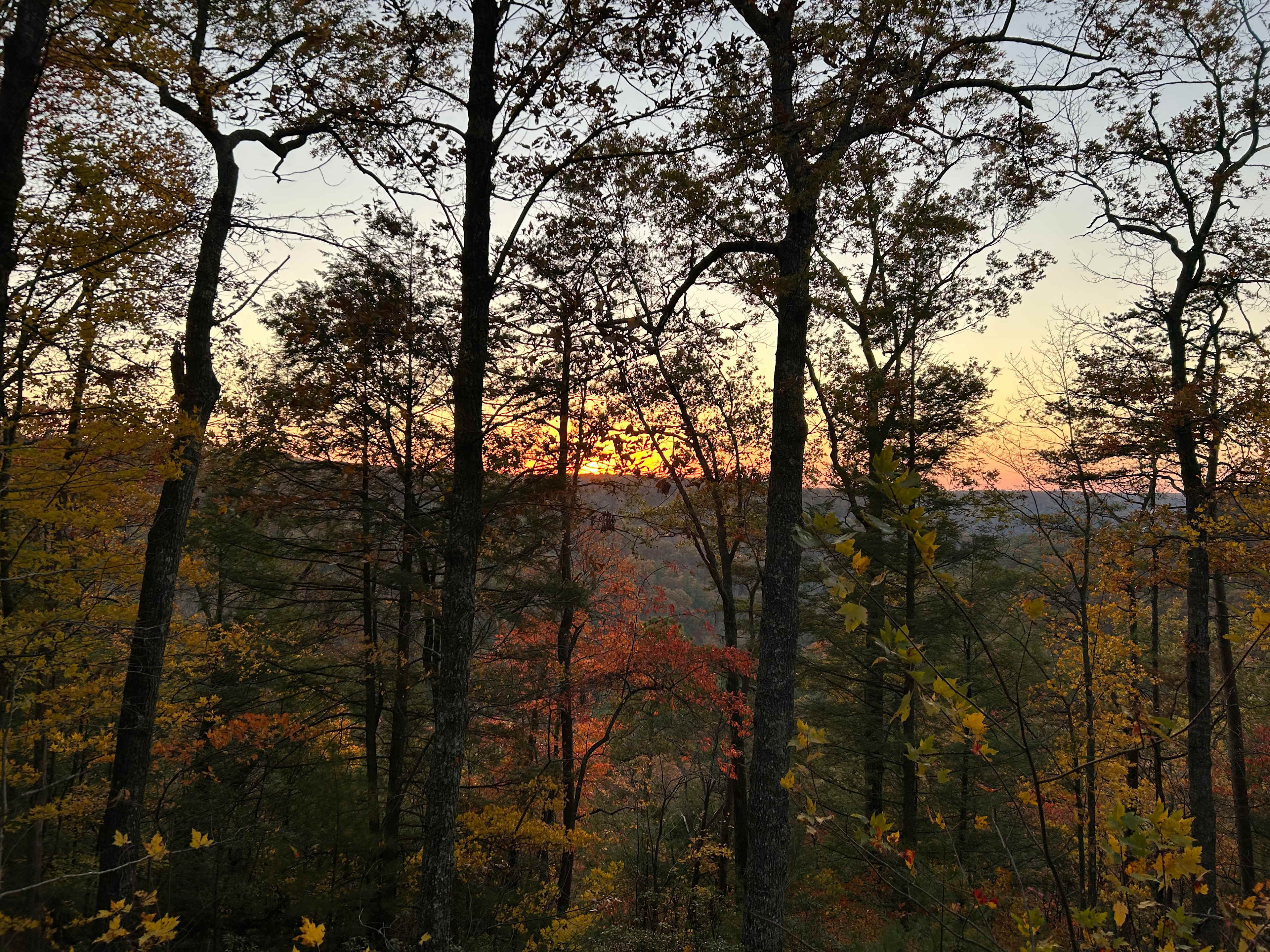 The LAAAAND (just you & 50 acres)