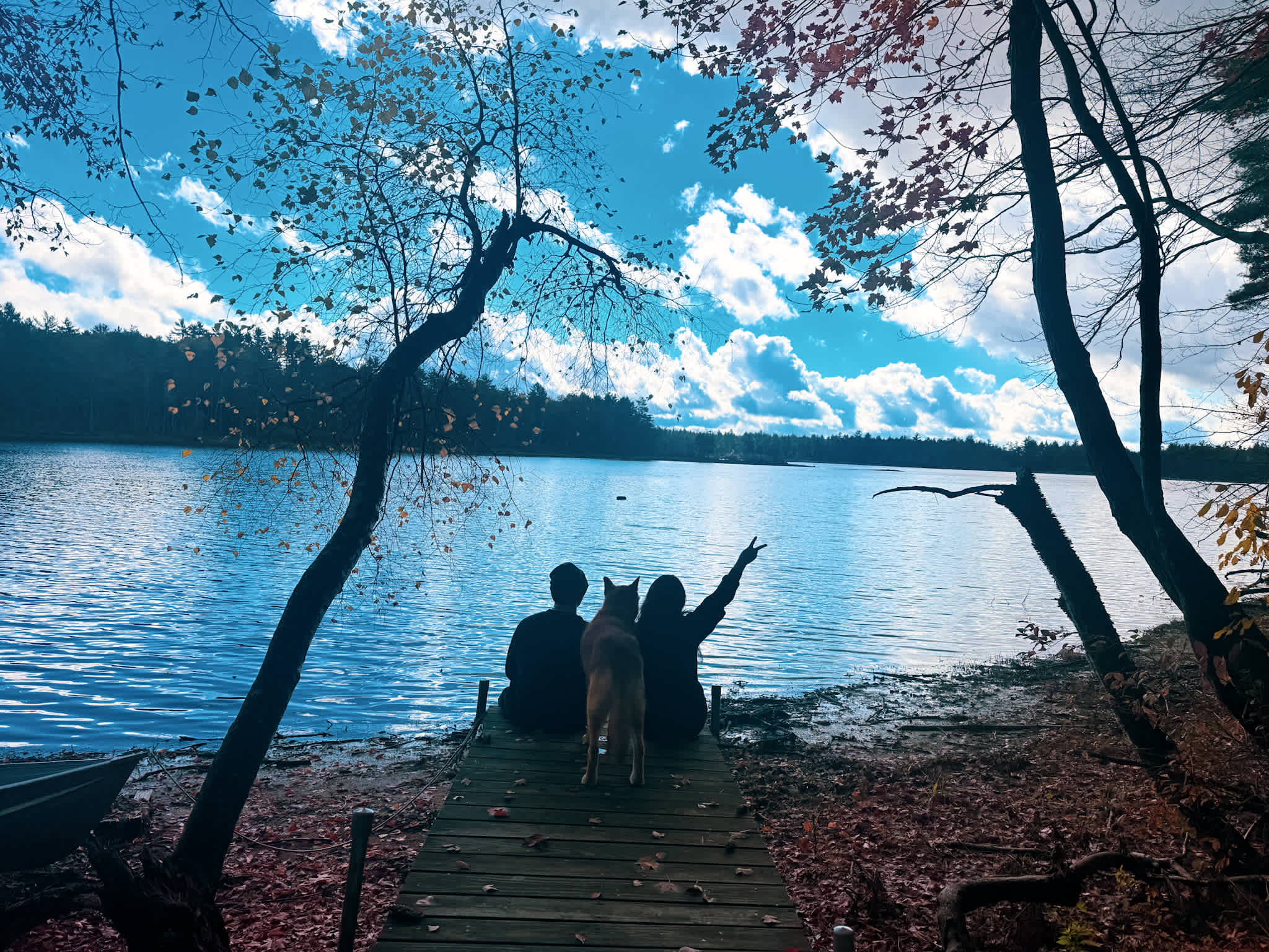 Tiny House, Horse Trailer, S Tent