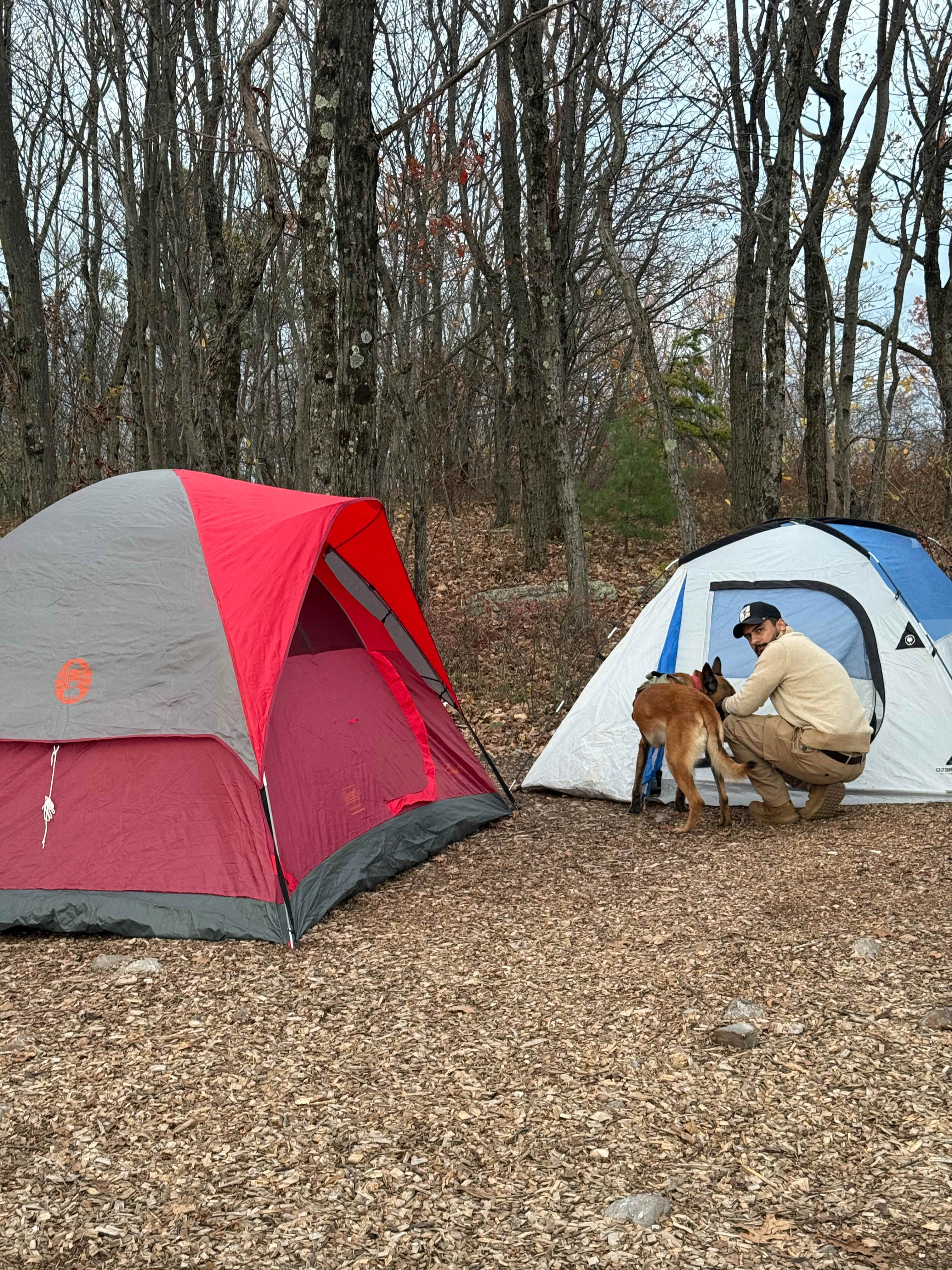 100 Mile View Camping, Jim Thorpe