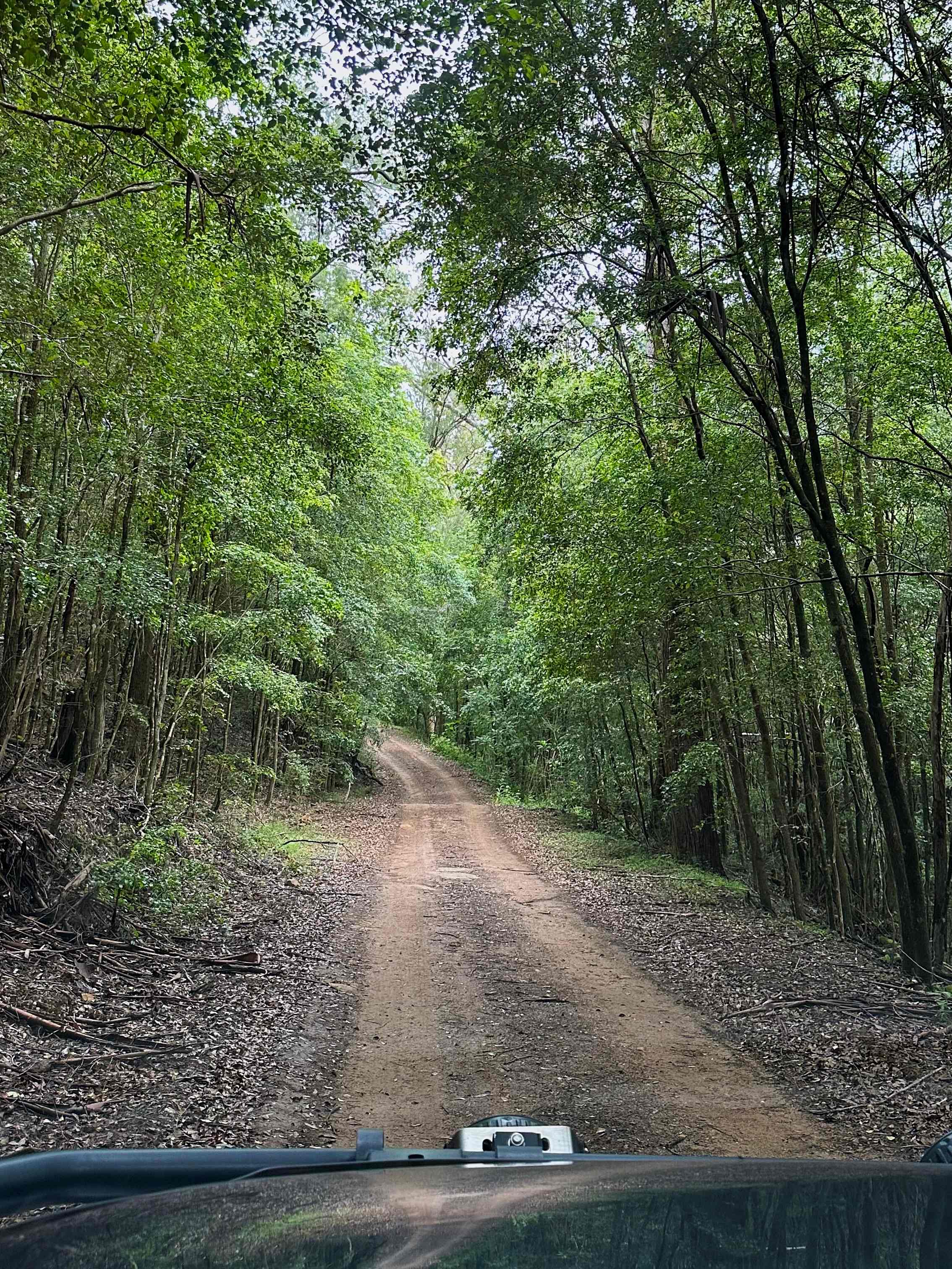 Rocky Forest Bush Retreat Wollombi