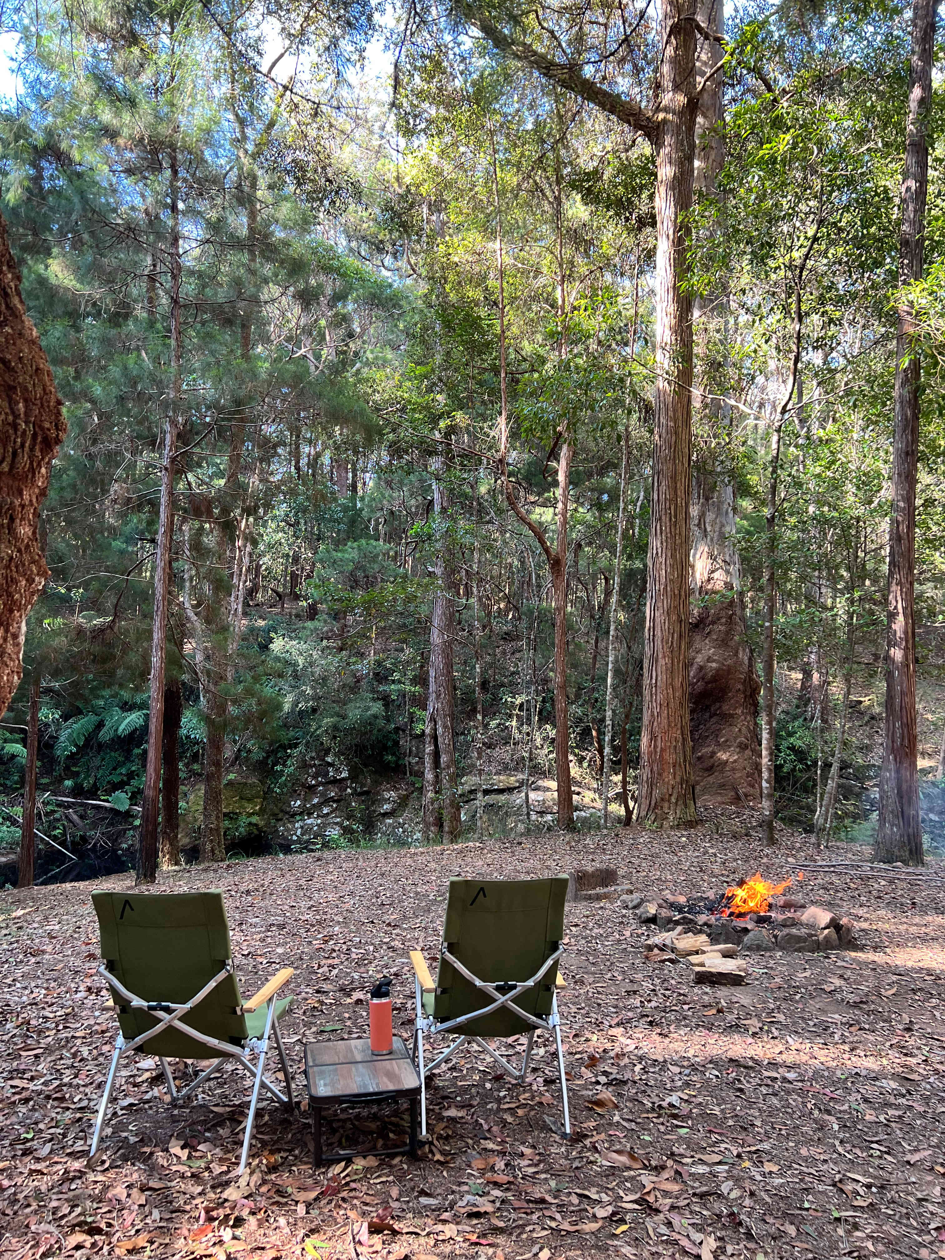 Platypus bend campsite