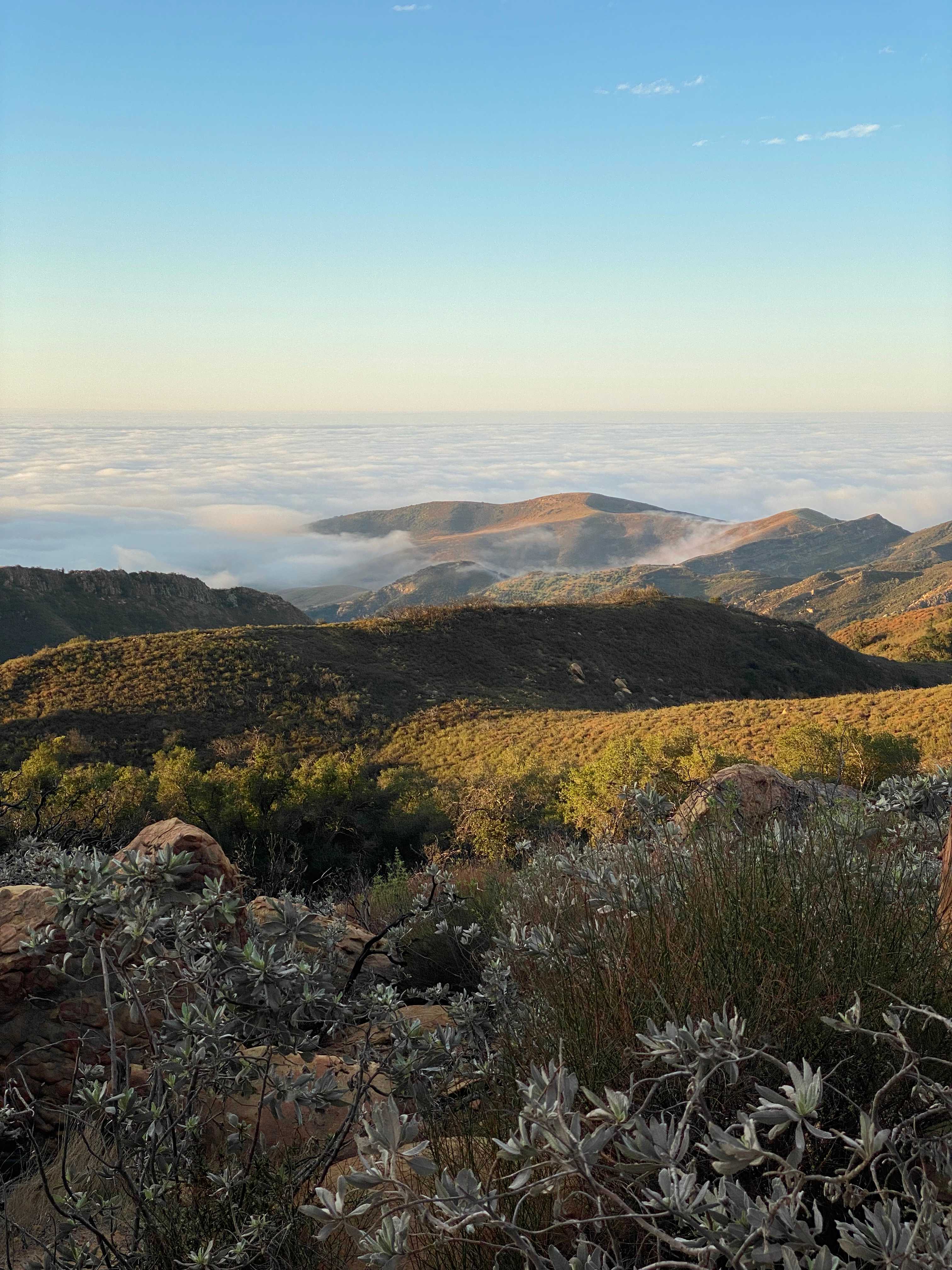 Gaia Farm Campground