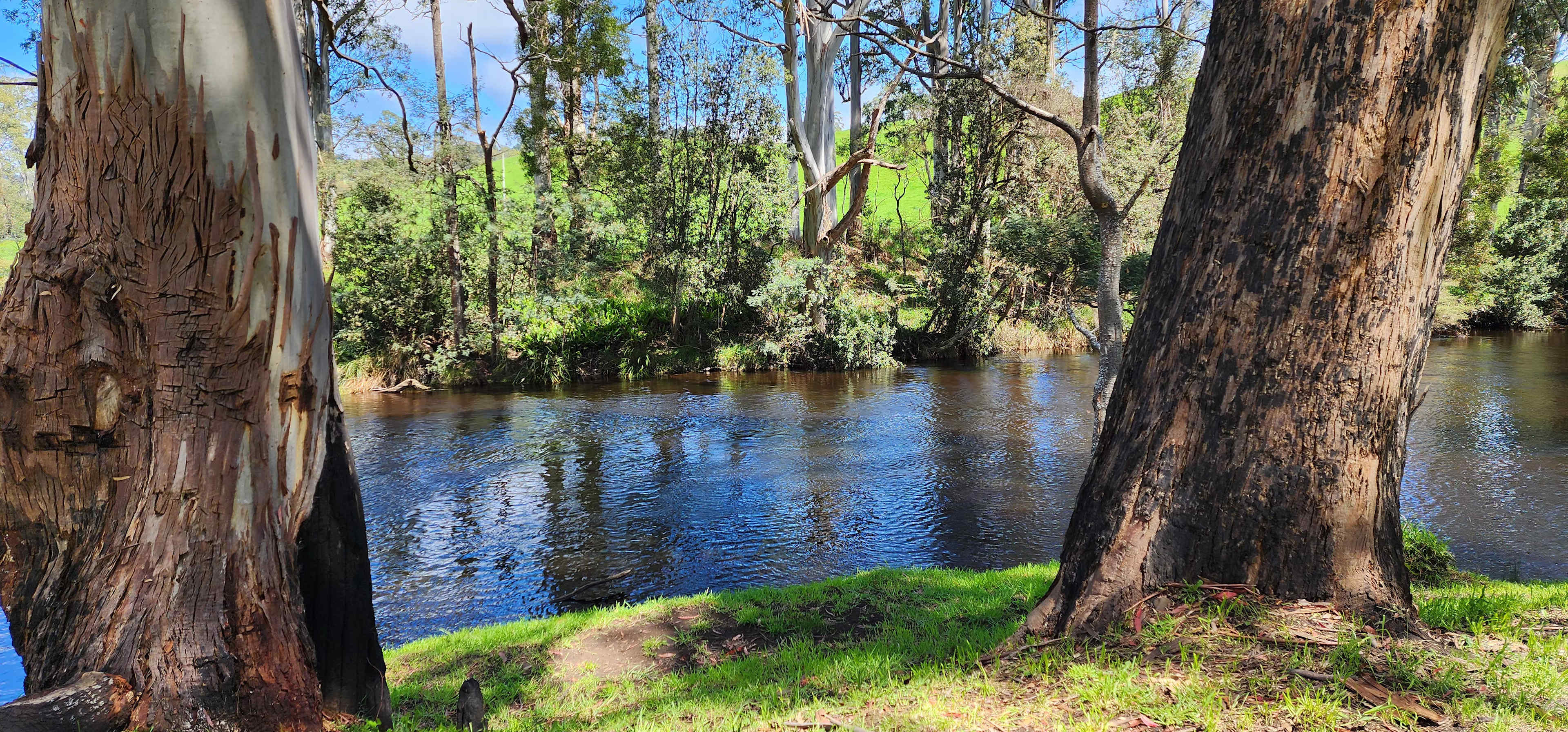 Blythe River Campground