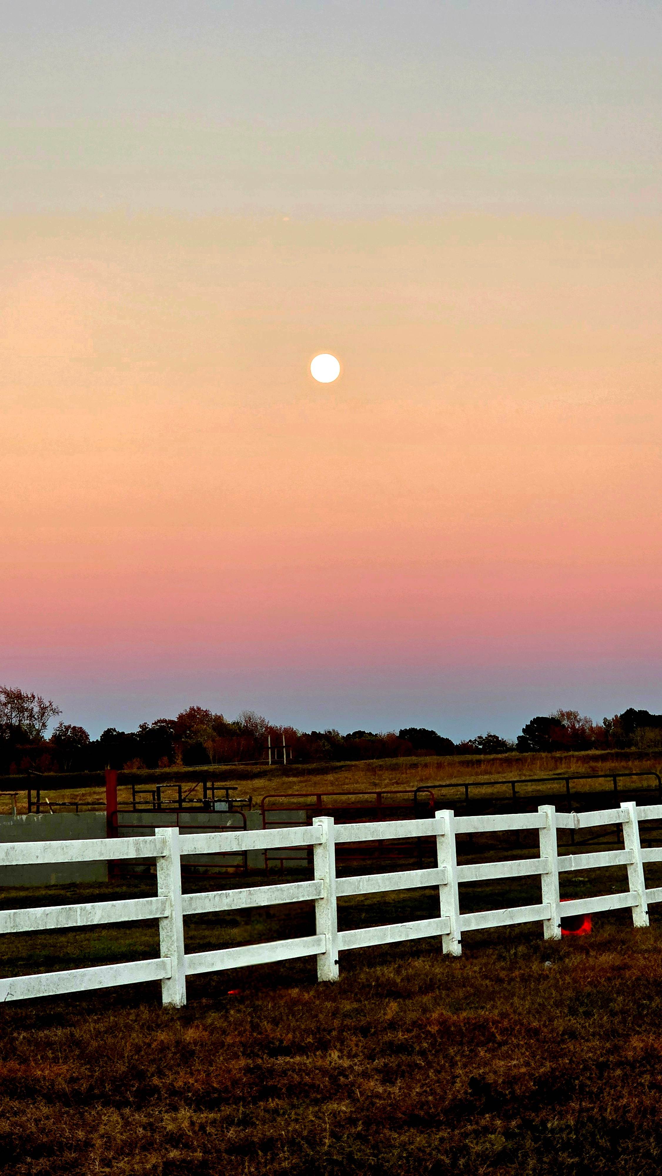 Horse Ranch-a short drive from 95