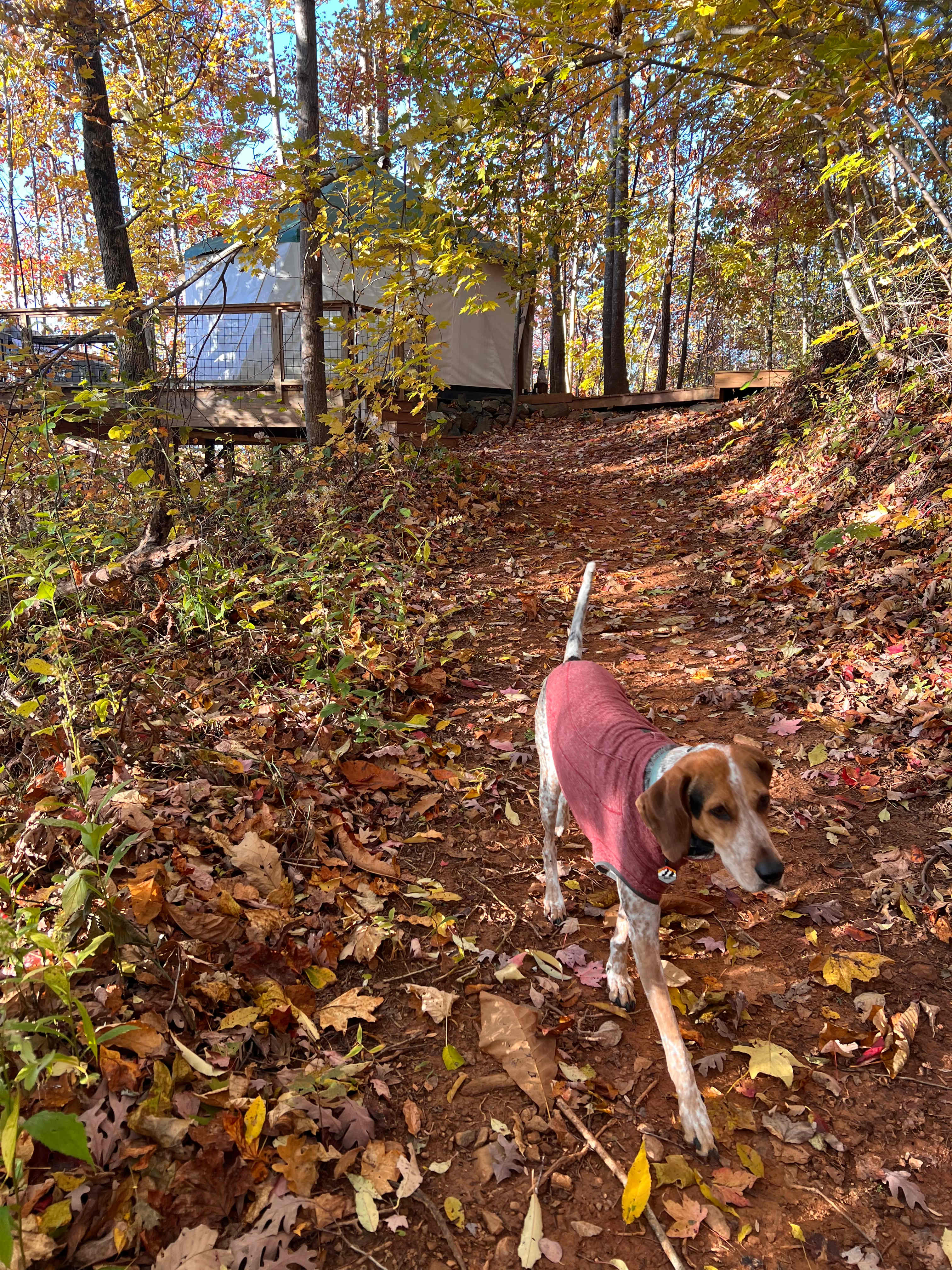 Outercamp, Blue Ridge Falls Retreat