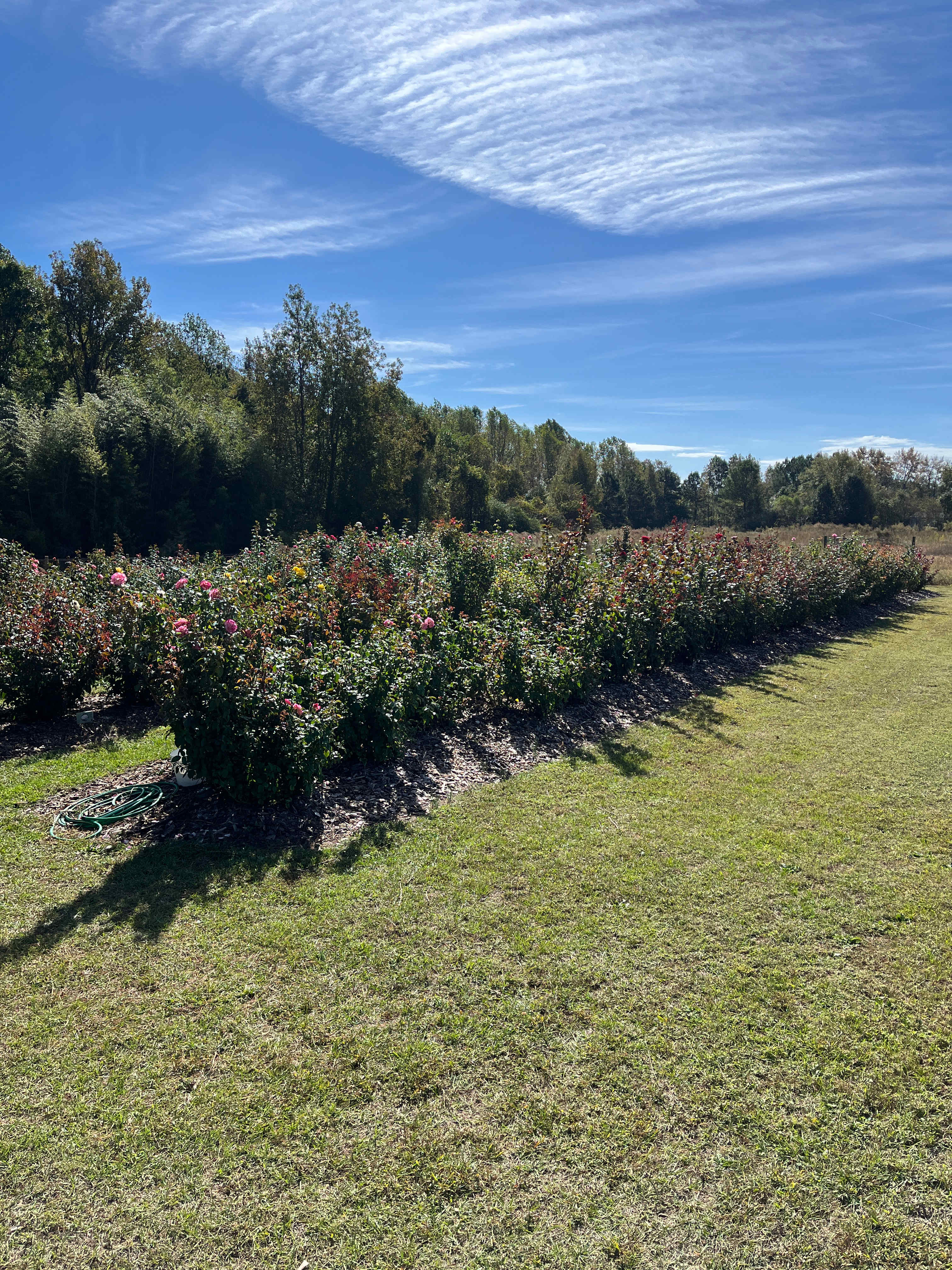 Campsite and surroundings…