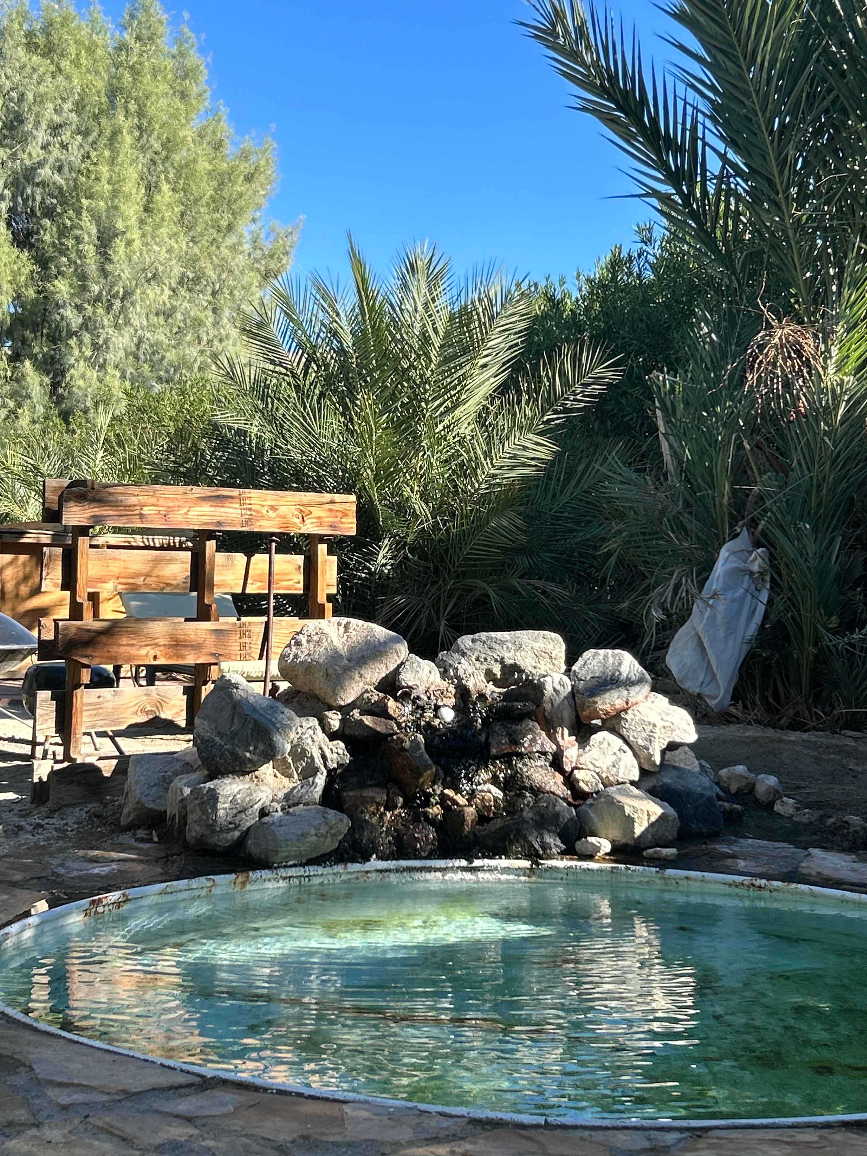 Mineral Spring Date Farm