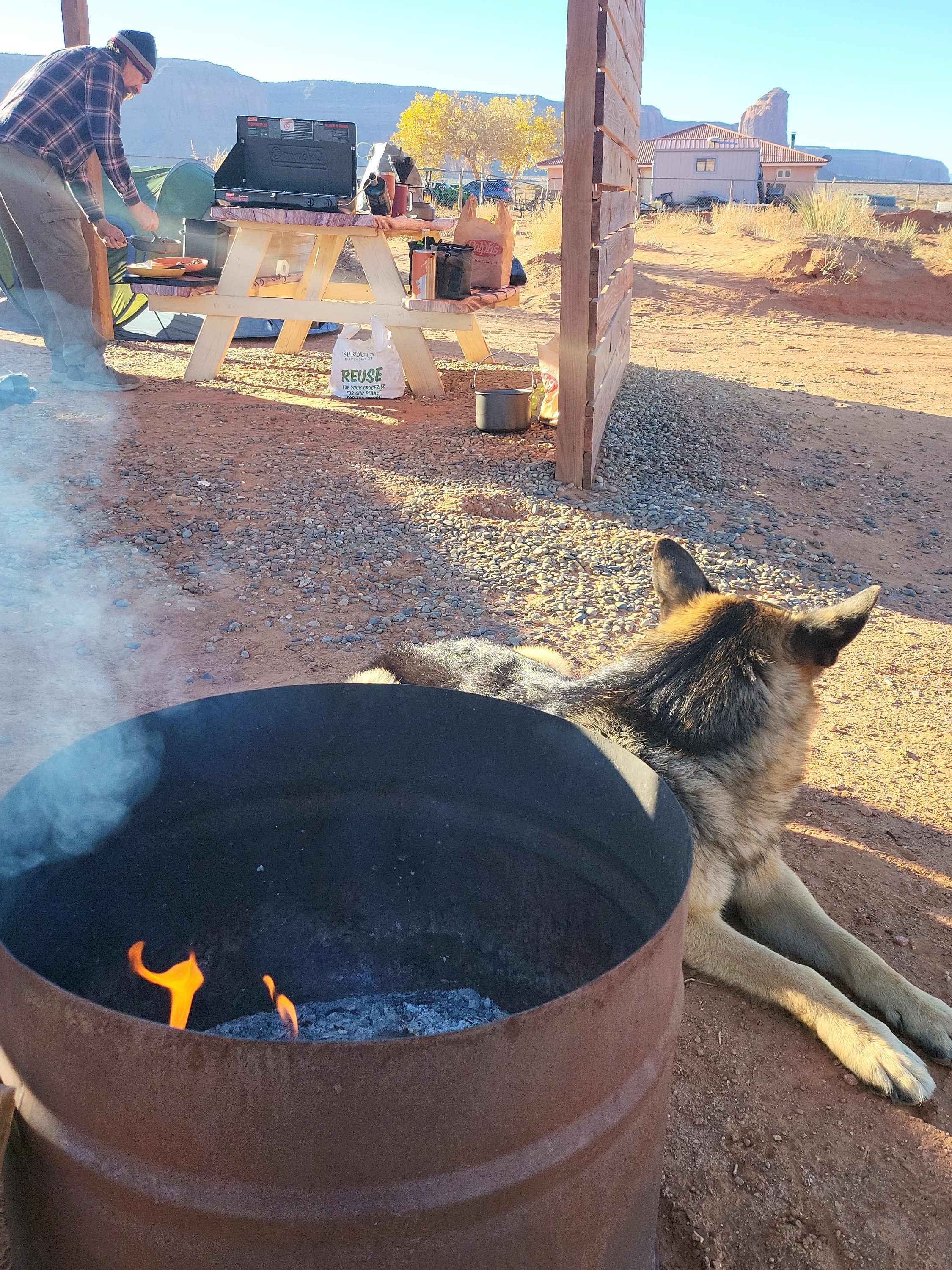 Dog w/ no Name Space Respector