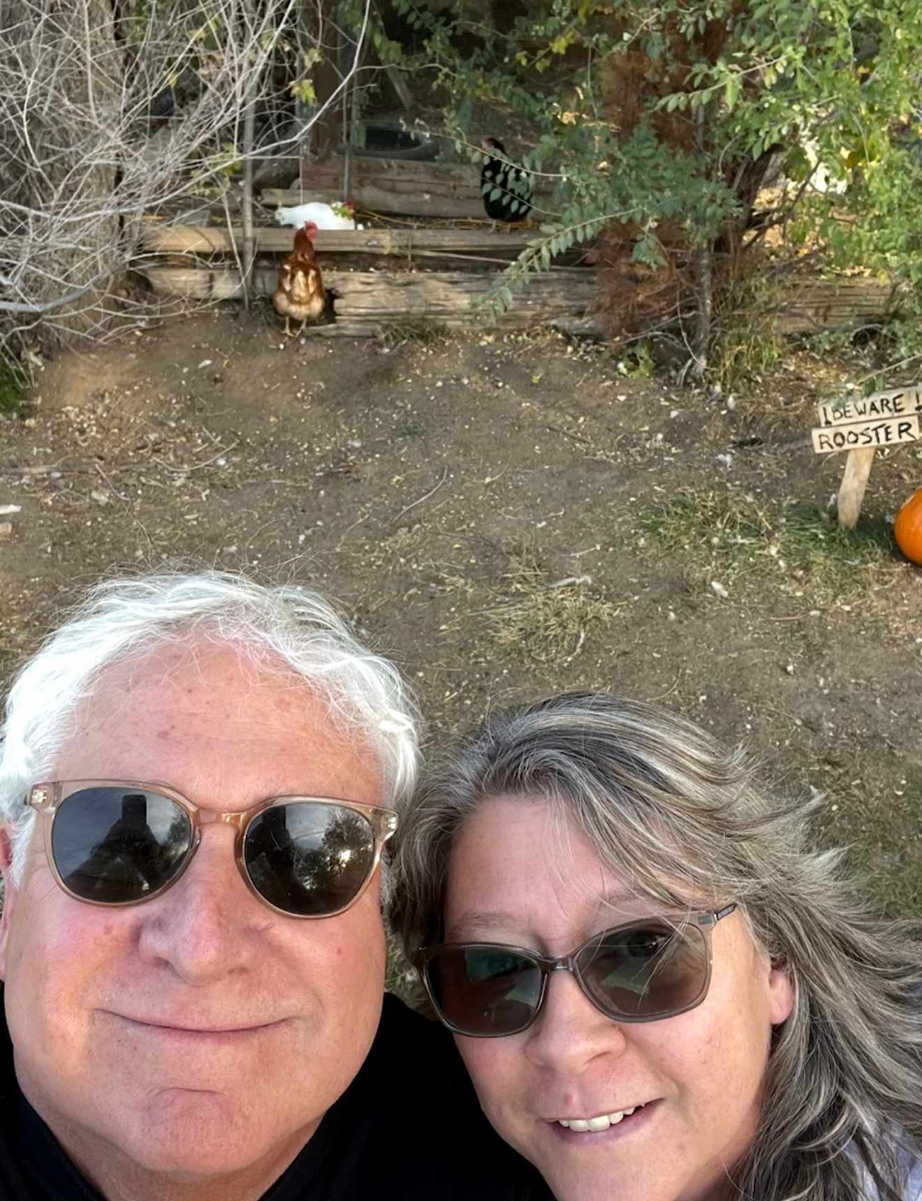 The rooster really cockle-doodle does!