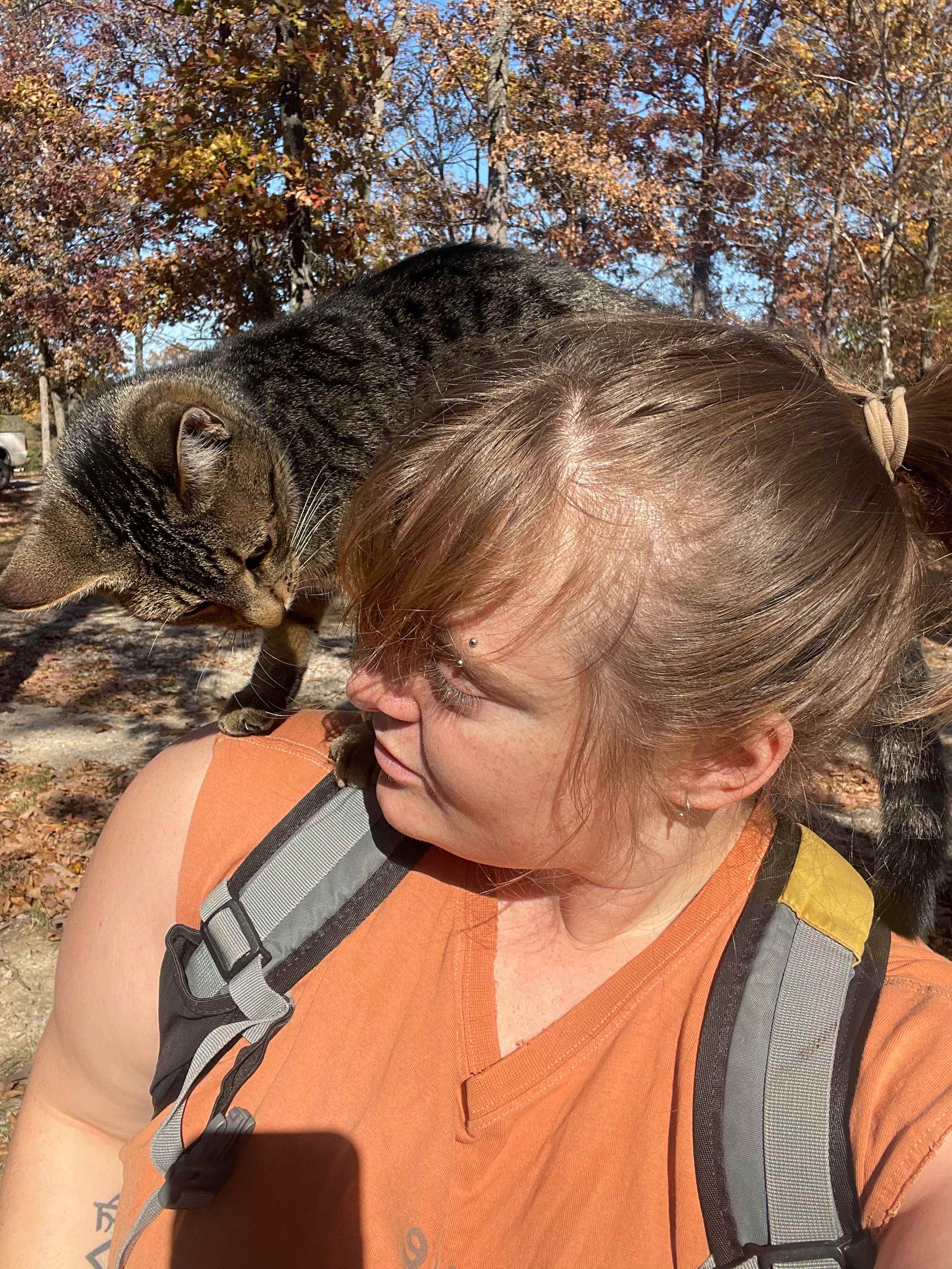 Hawks Bluff Farm Campground