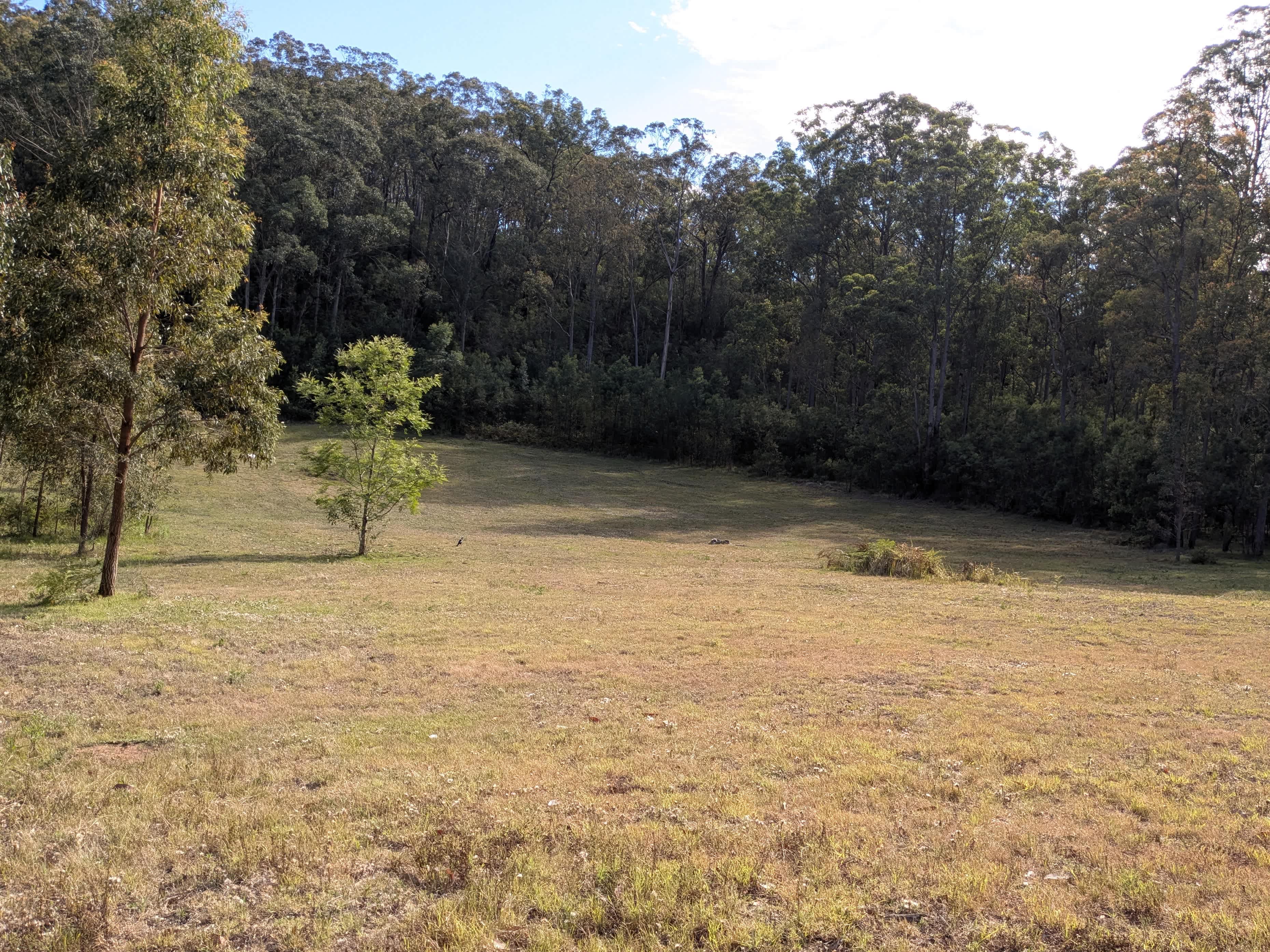 Gentle-slopes under the stars