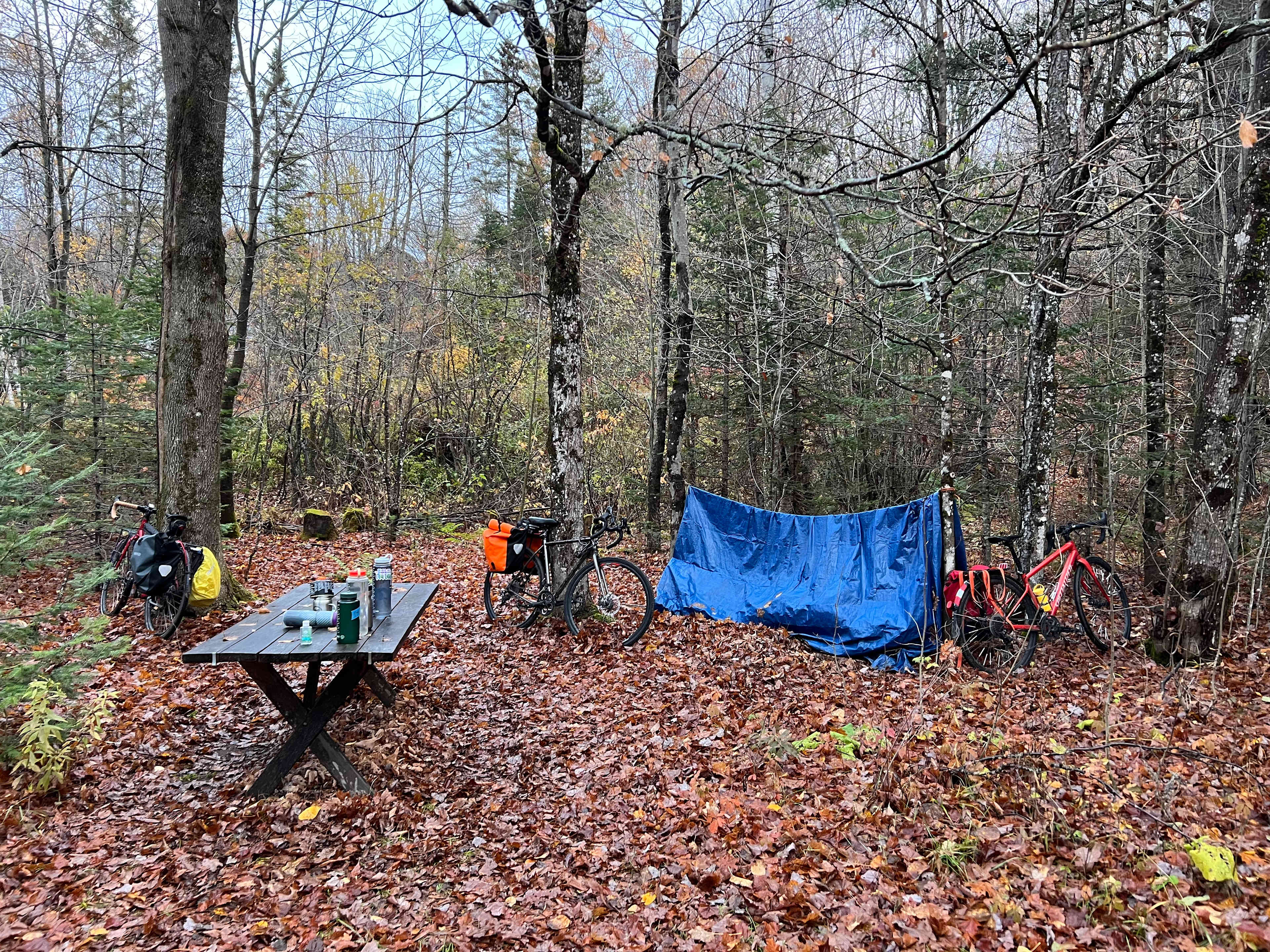 Birch Tree Acres--Tent Site