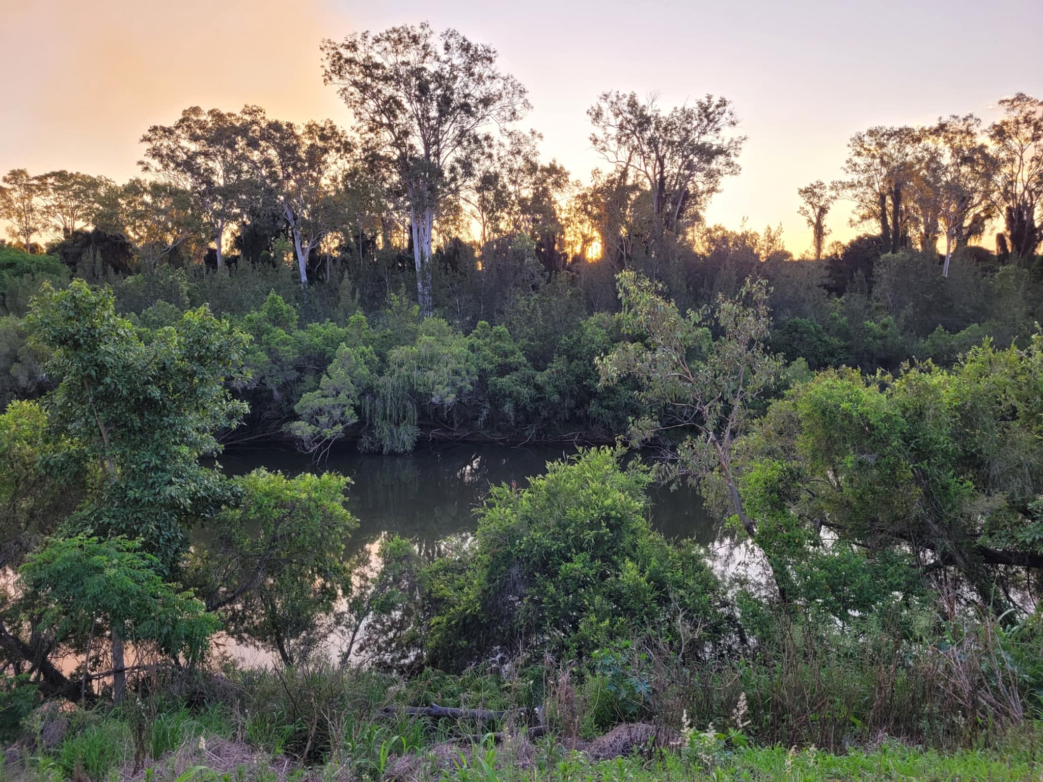 The view from our powered site