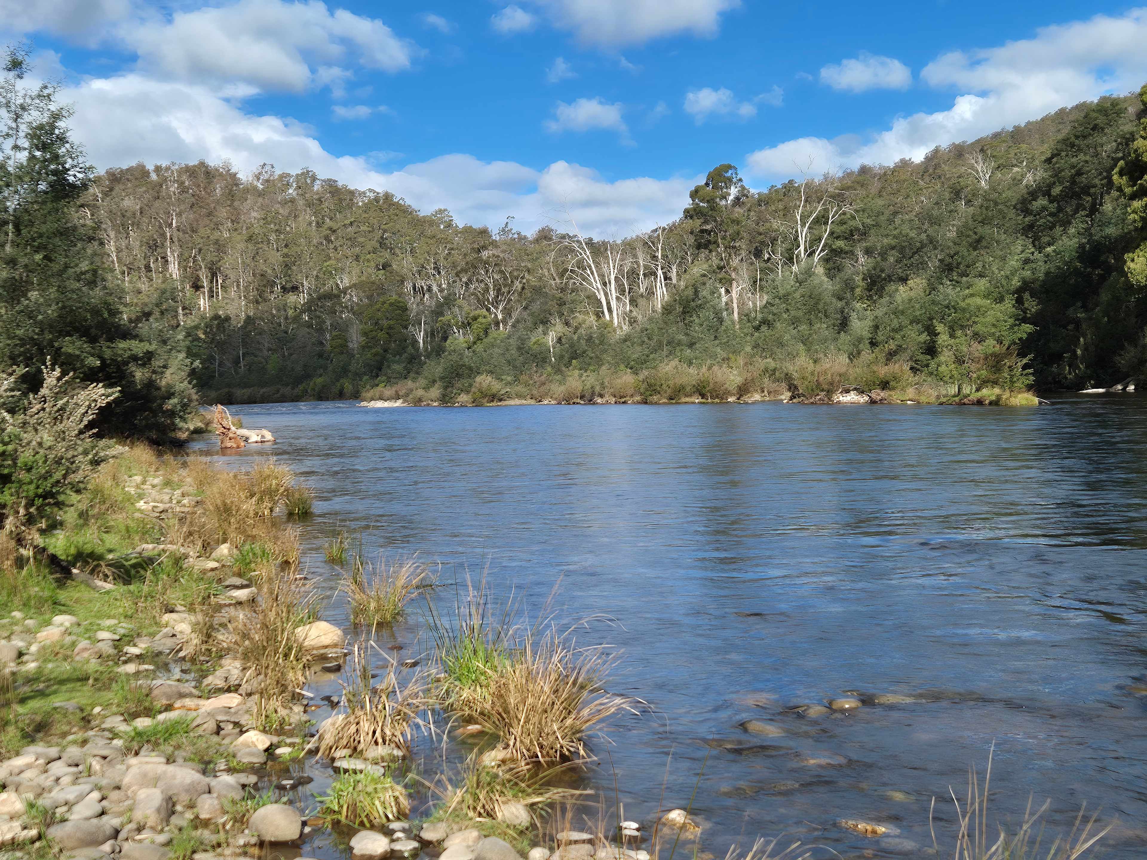 Stooge Farm Wilderness Retreat