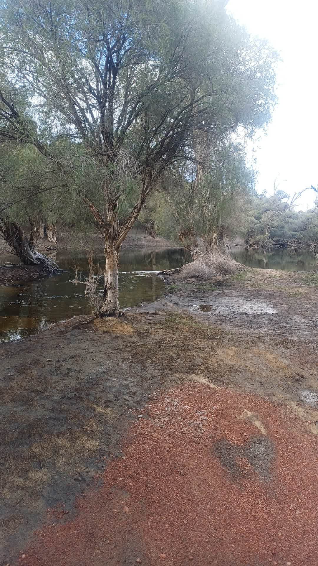 Murray Valley Camping