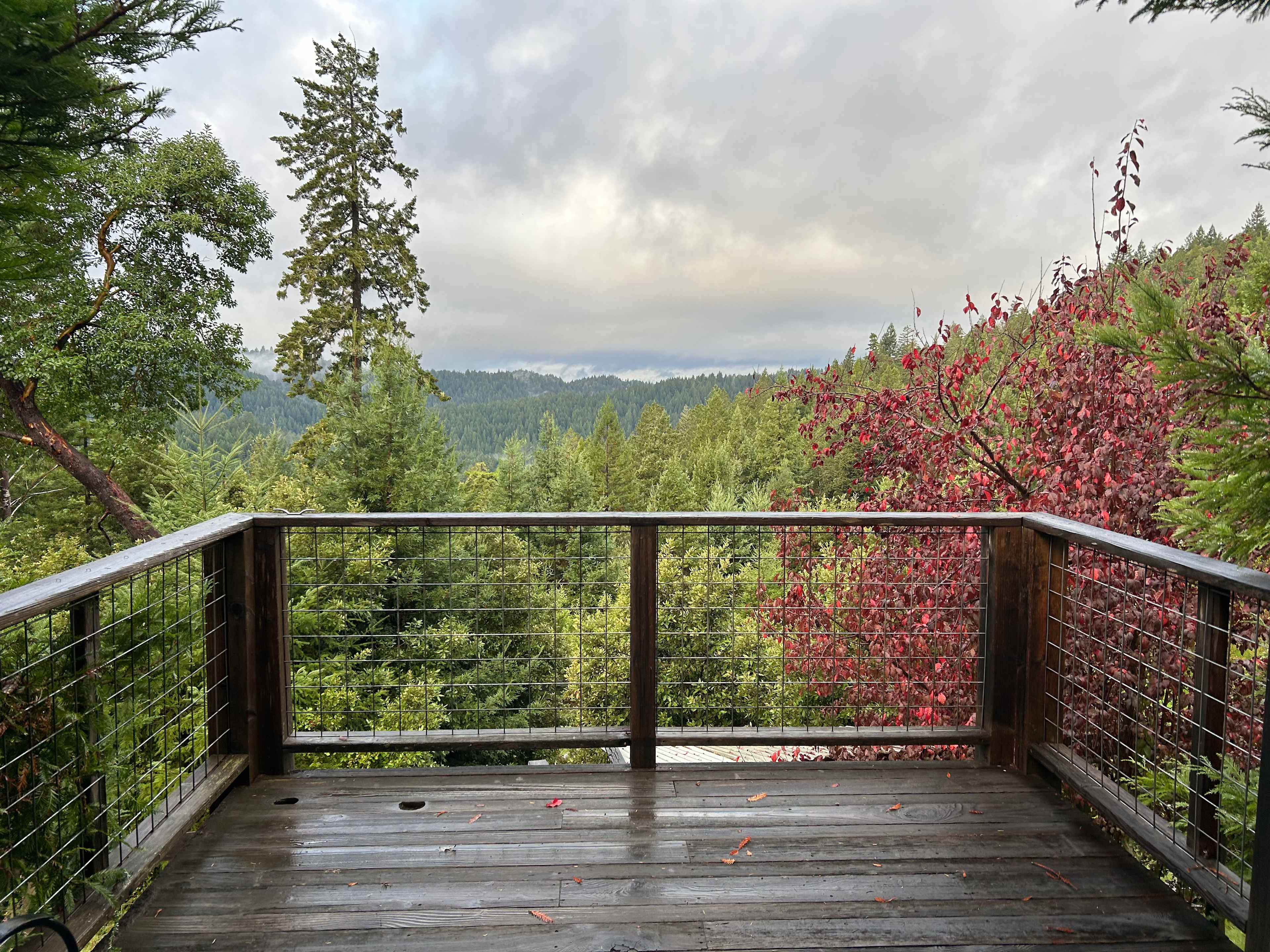 Comptche Matrix @ Sunny-land