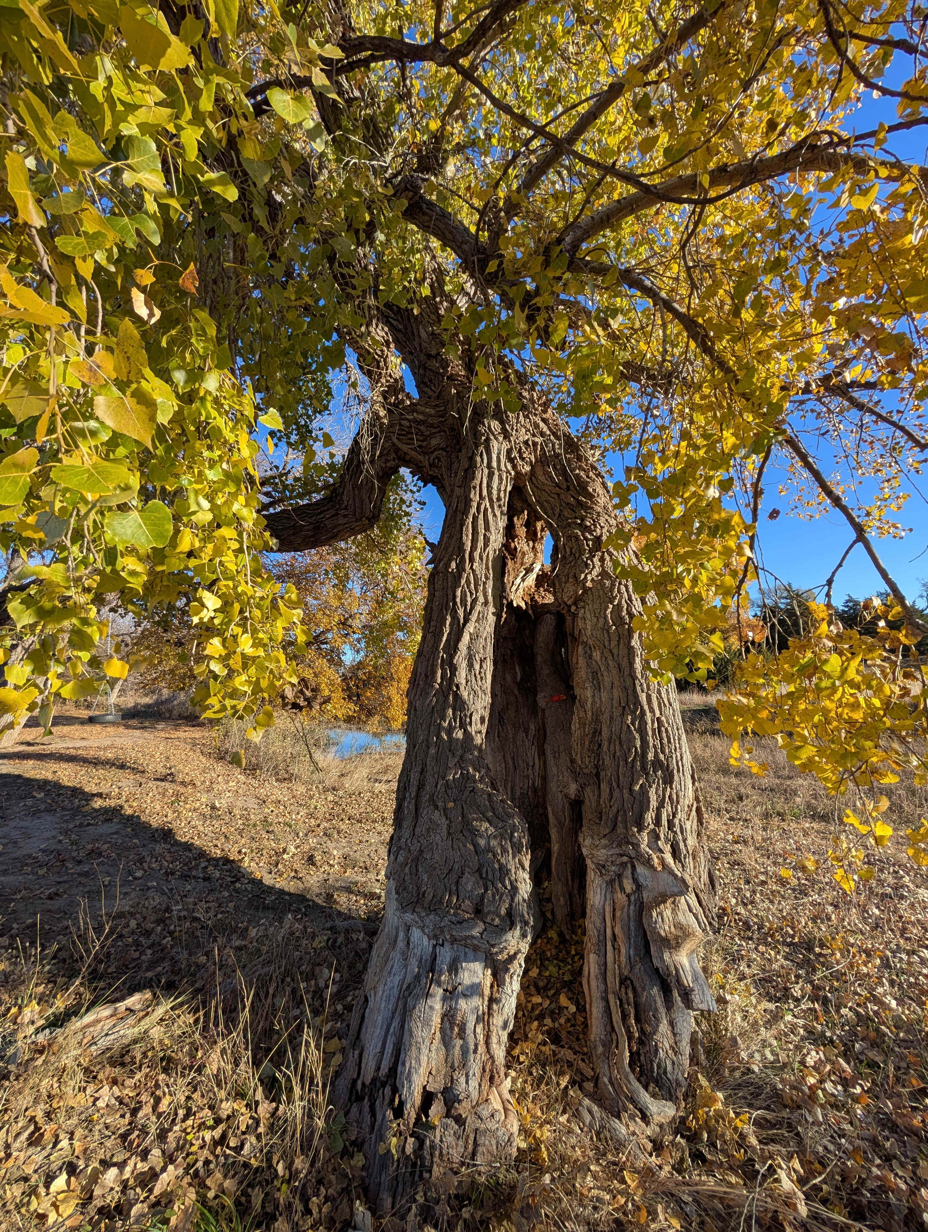 Arcadia Valley Outdoors Land