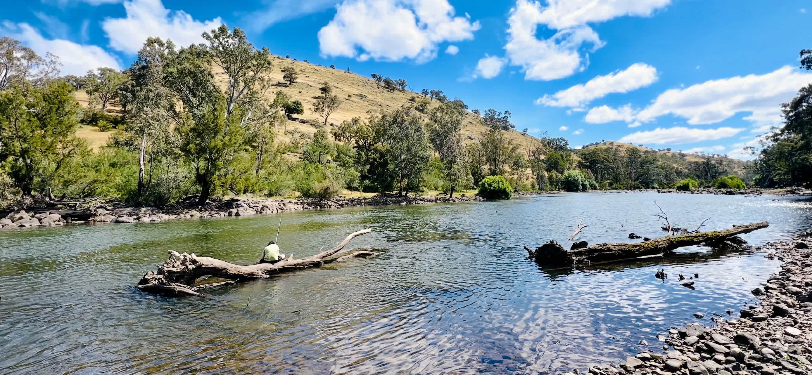 Jarabin on the Murrumbidgee