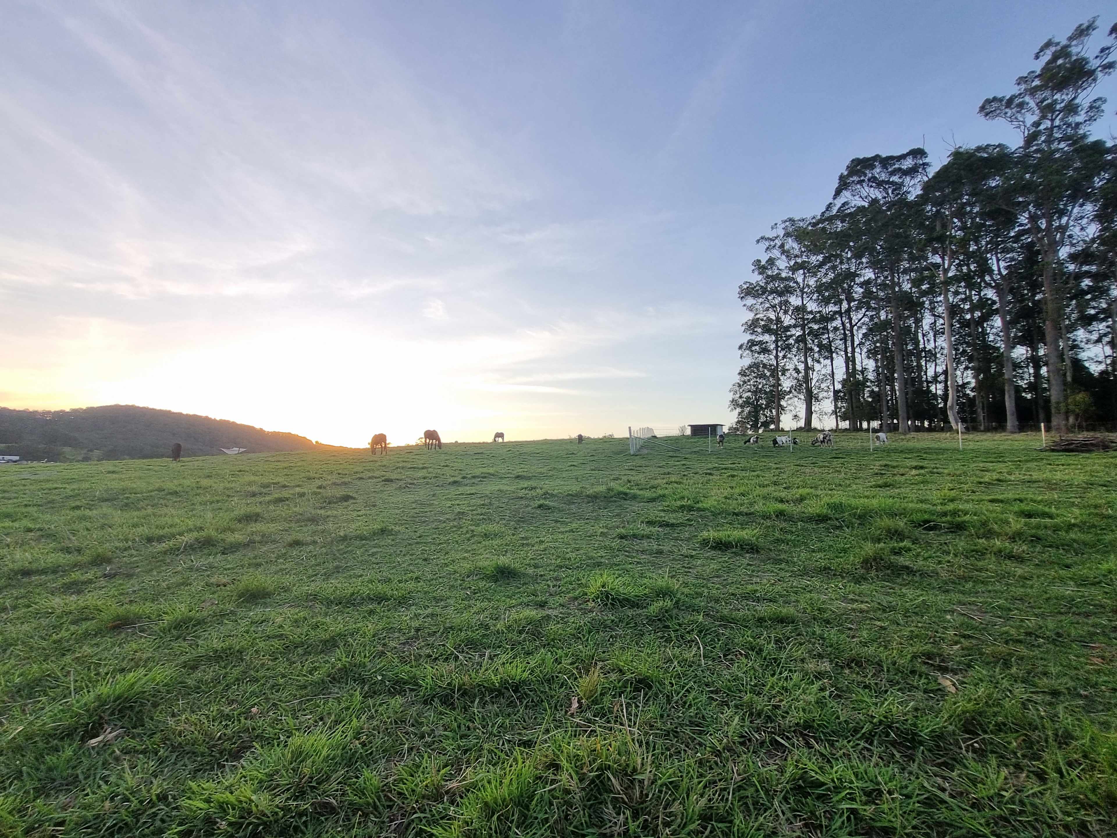 Luckystars Sanctuary