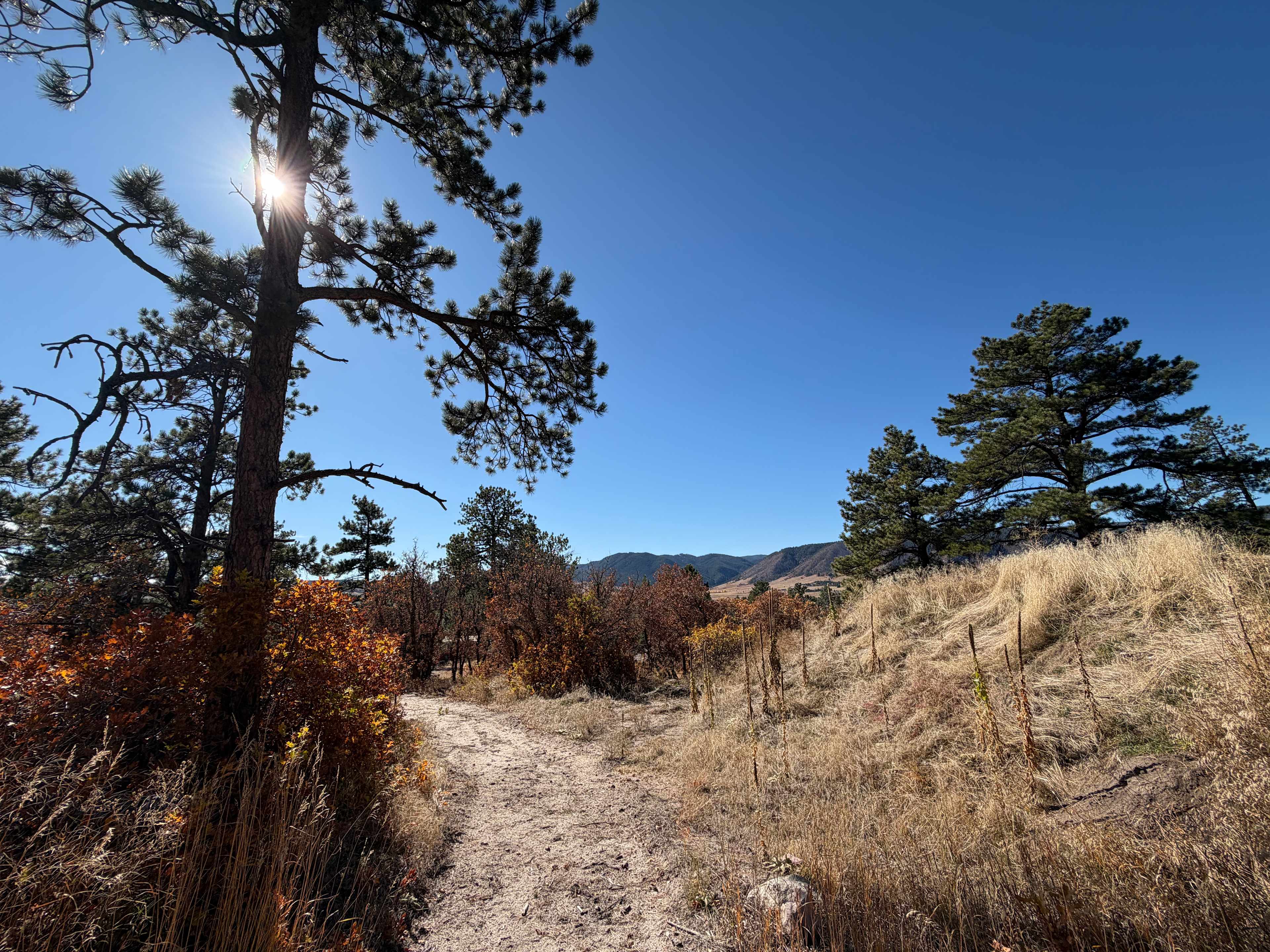 Standiford Goat and Equine Ranch