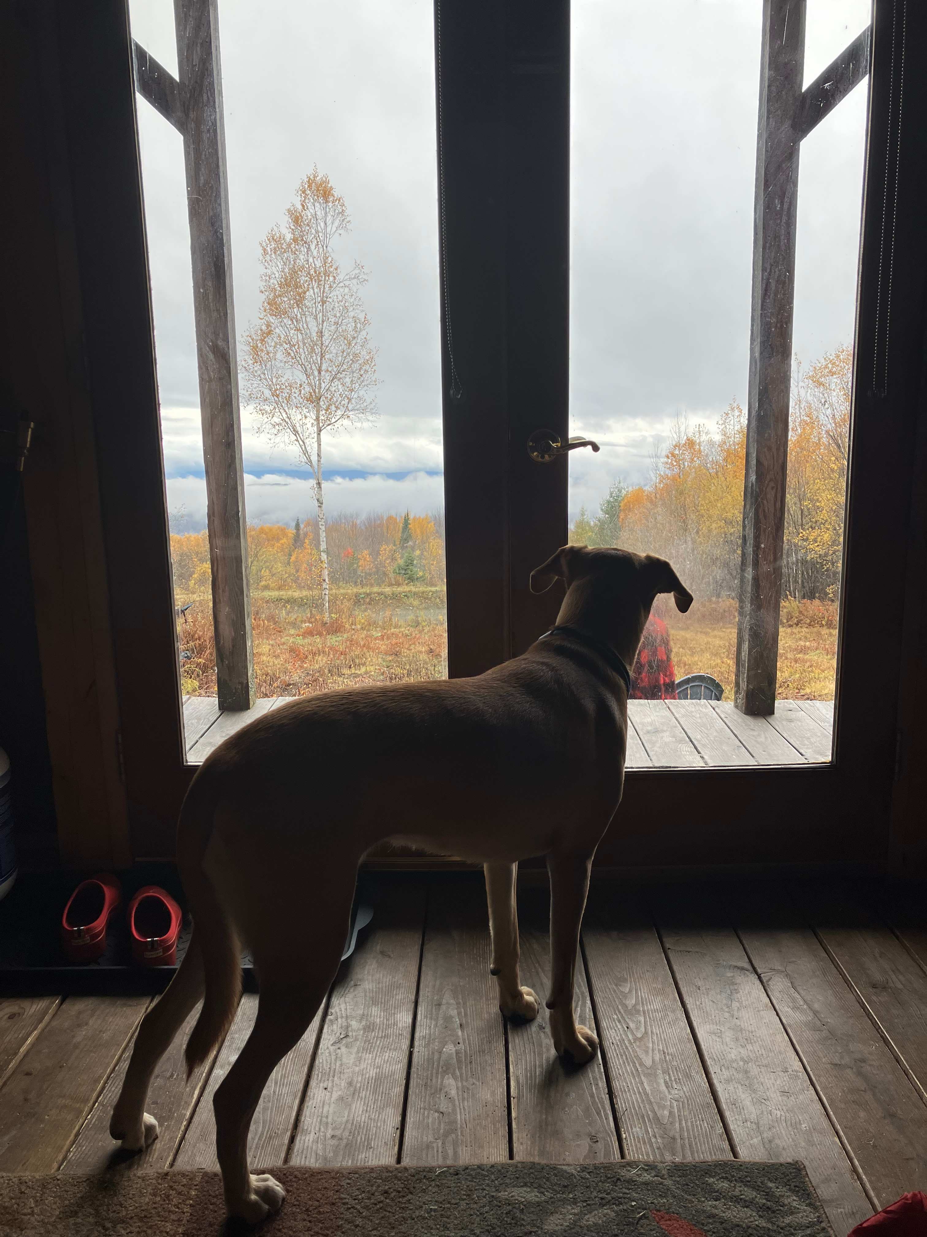 Vermont Rustic Retreat