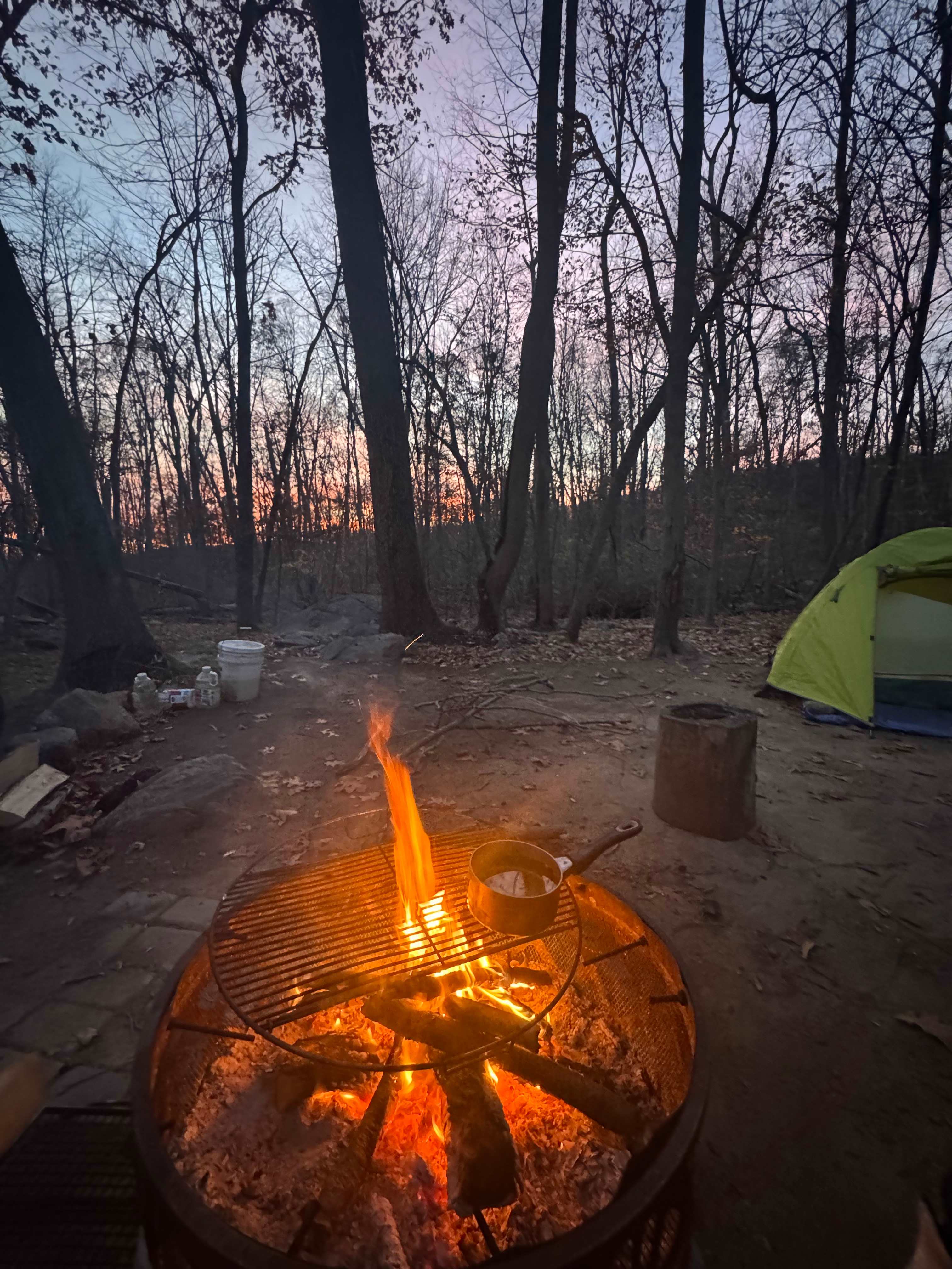 Paradise Valley Homestead
