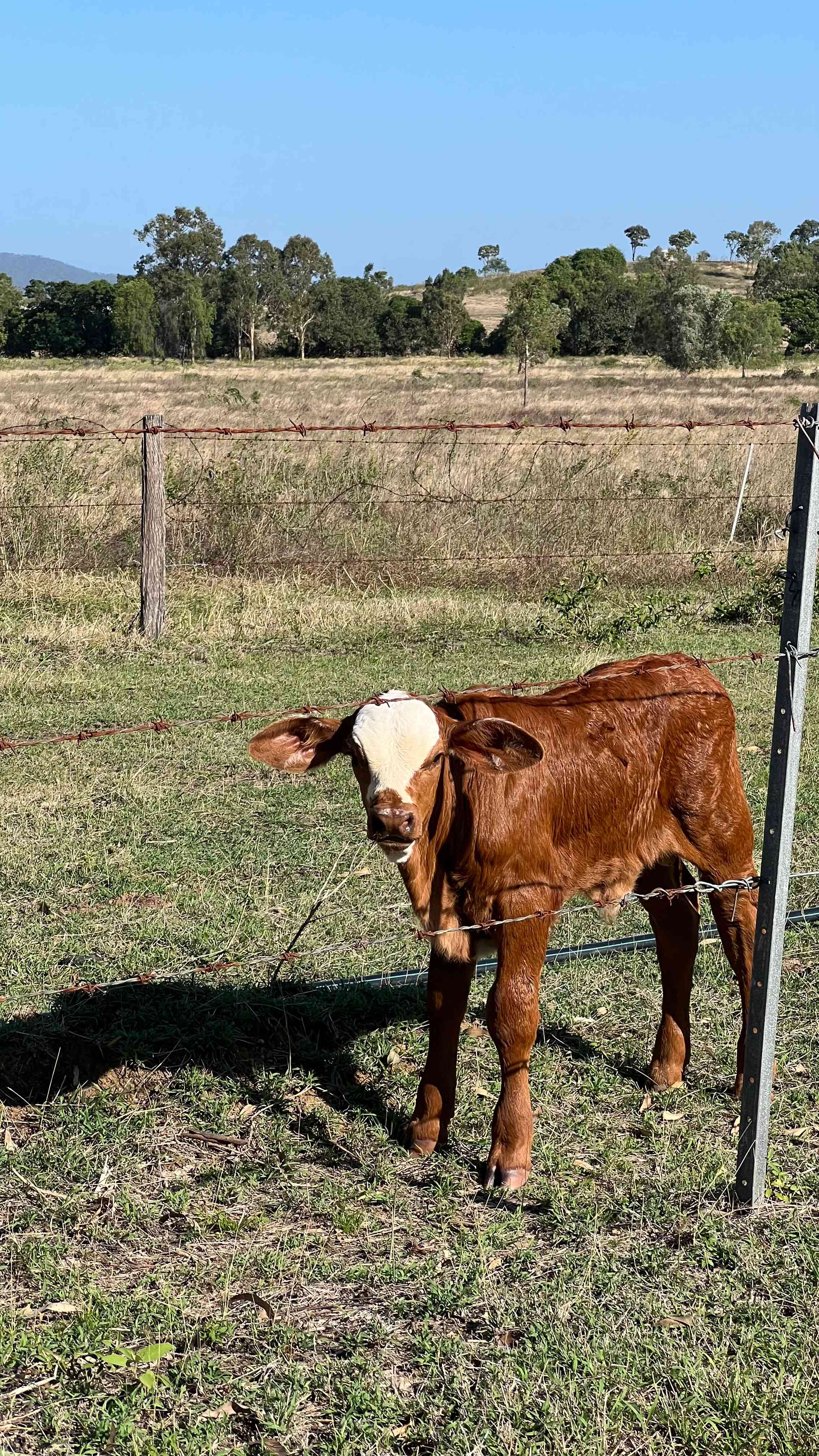 Take-A-Break Bush Camp