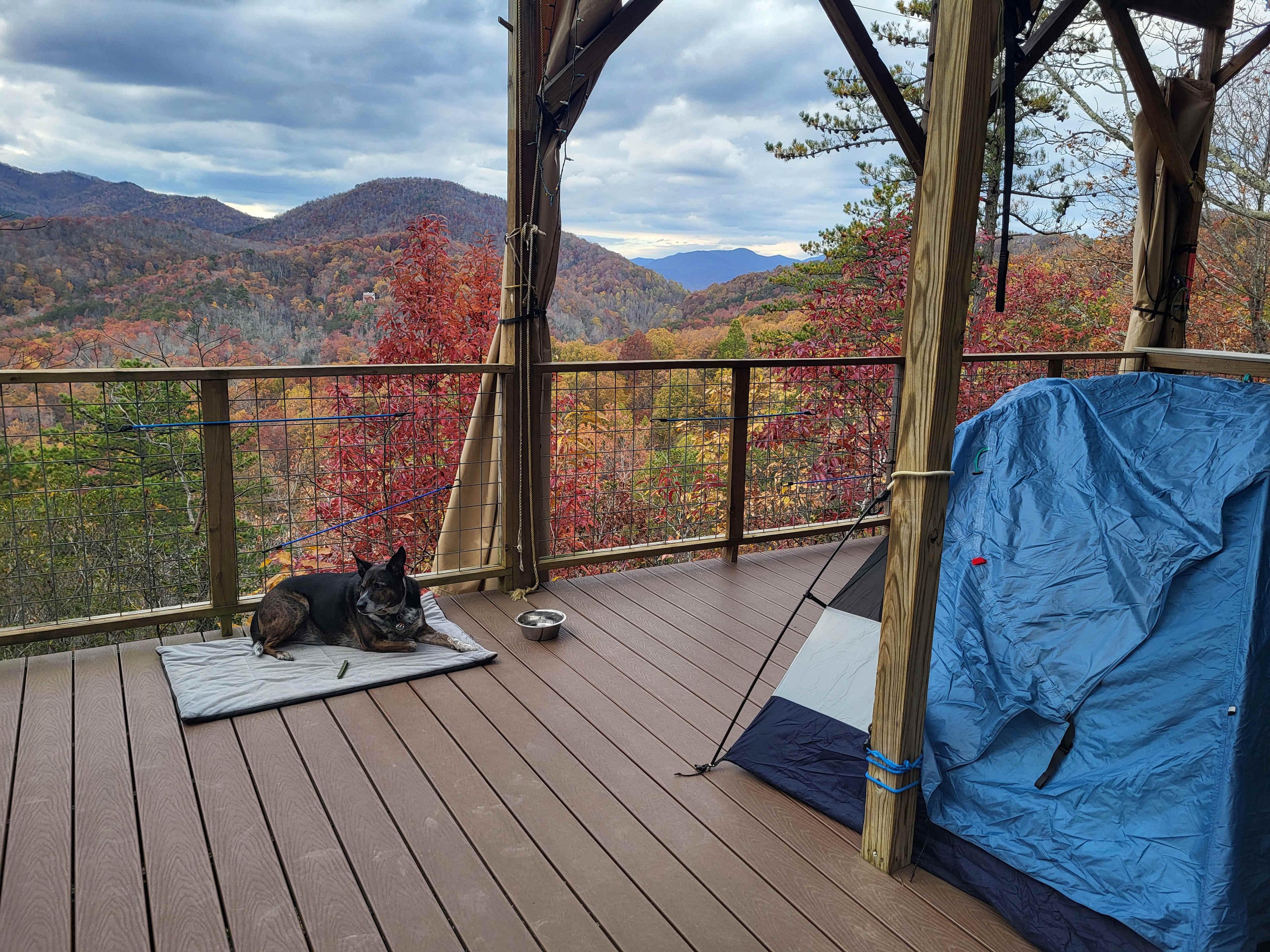 Above the Fray Glamping, Black Mtn.