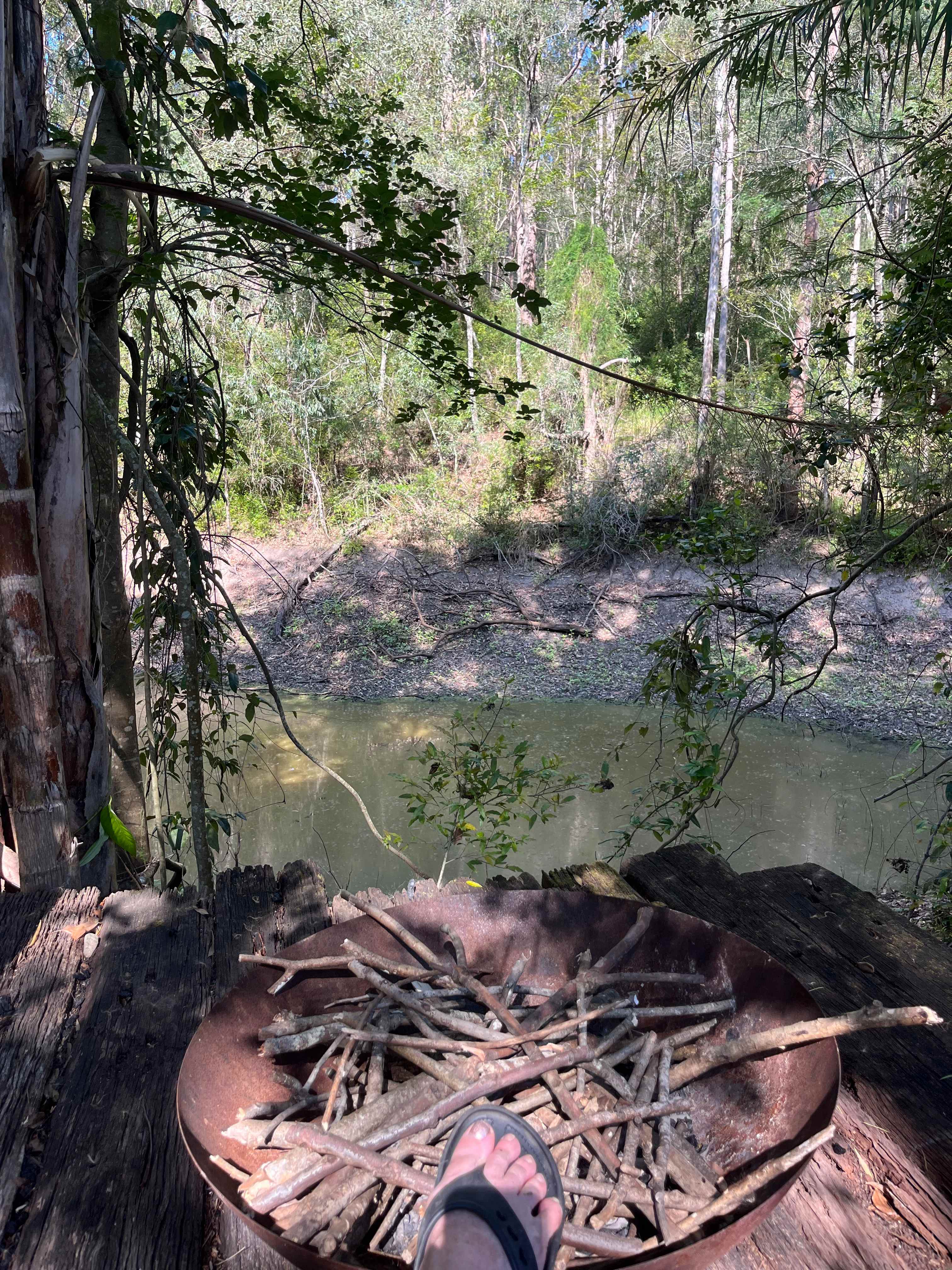 The Enchanted Paddock