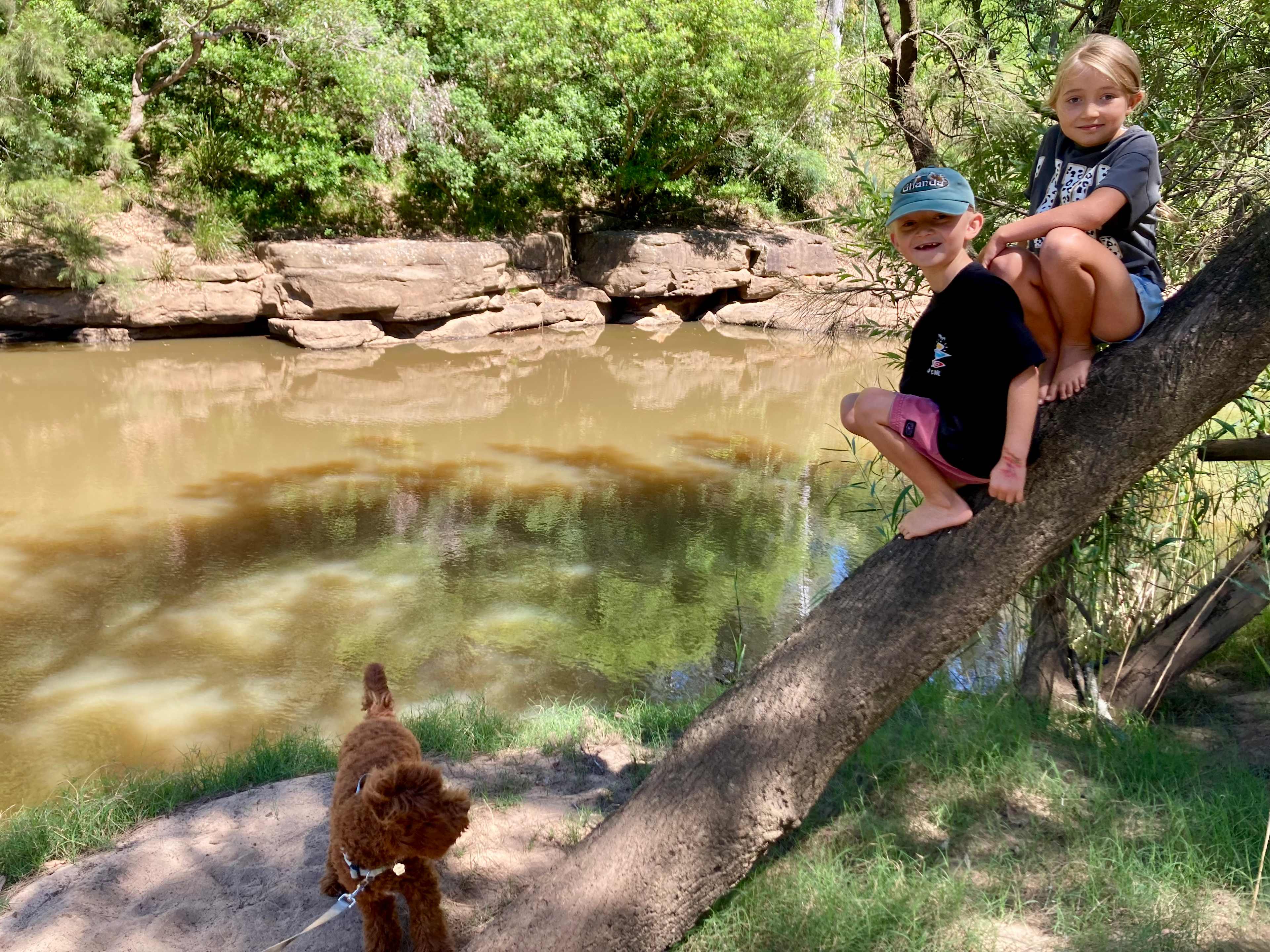 River 2 minute walk from the campsites 