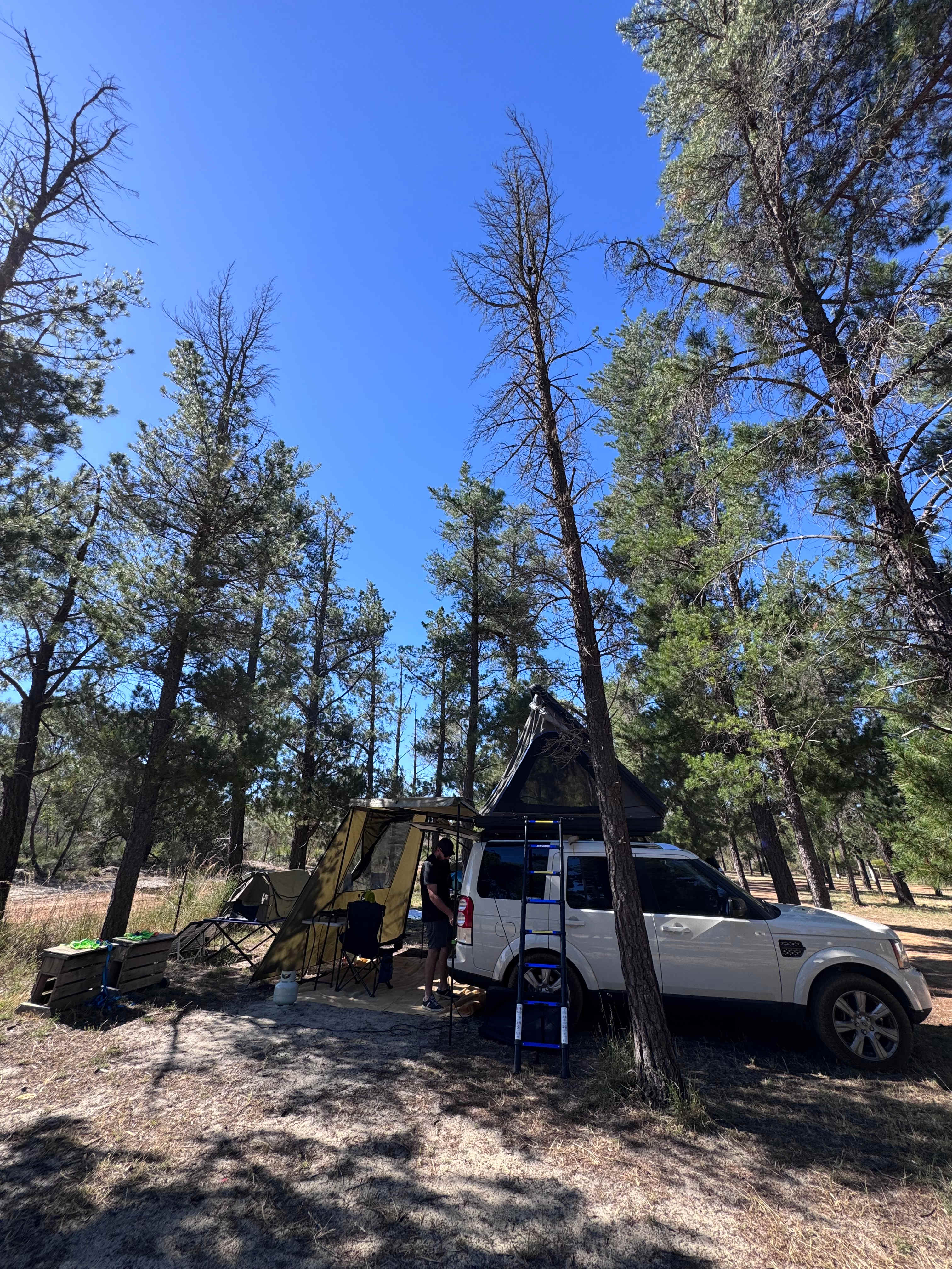 Little Eeden Farm Pine Camp